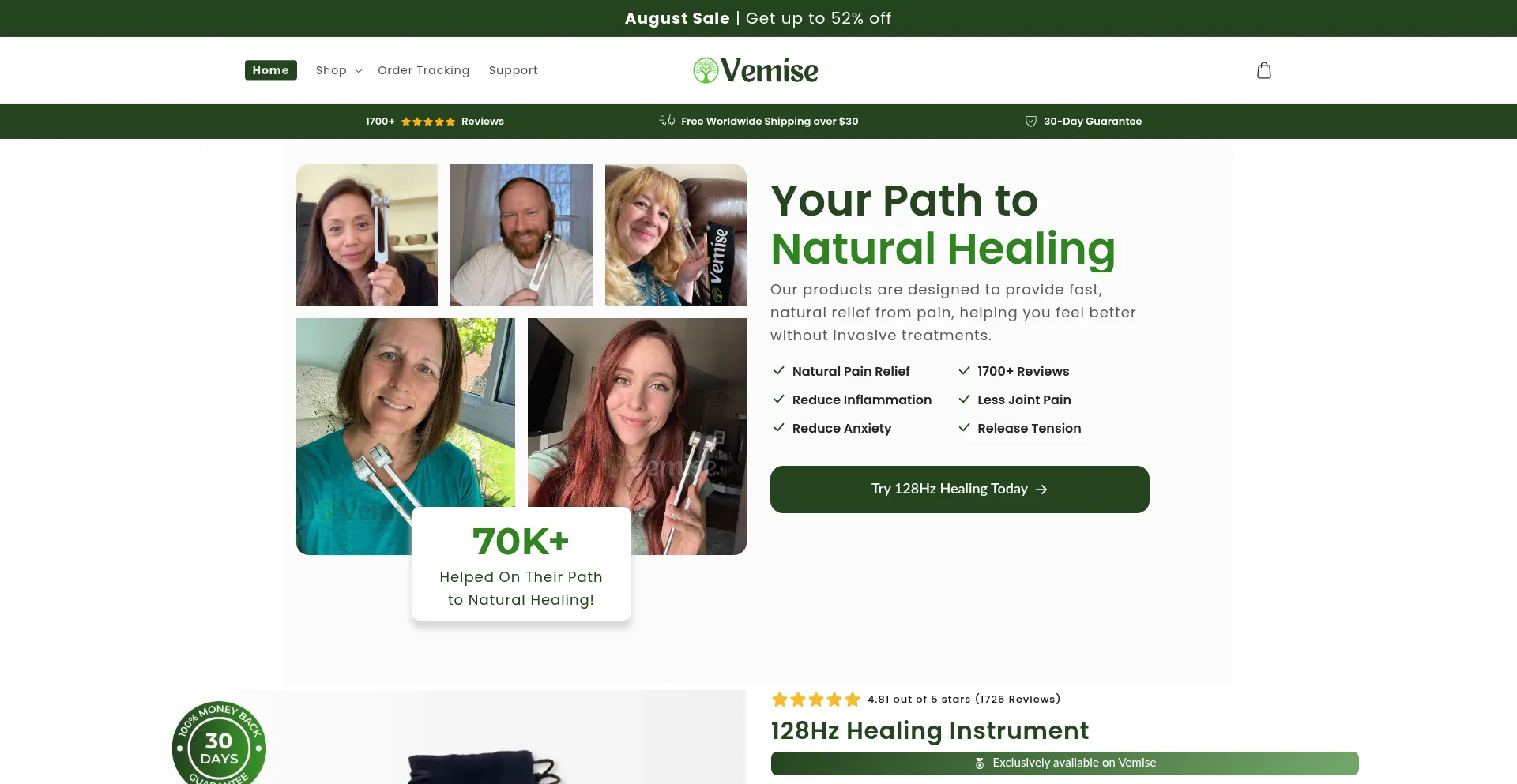 Website screenshot of Vemise.com
