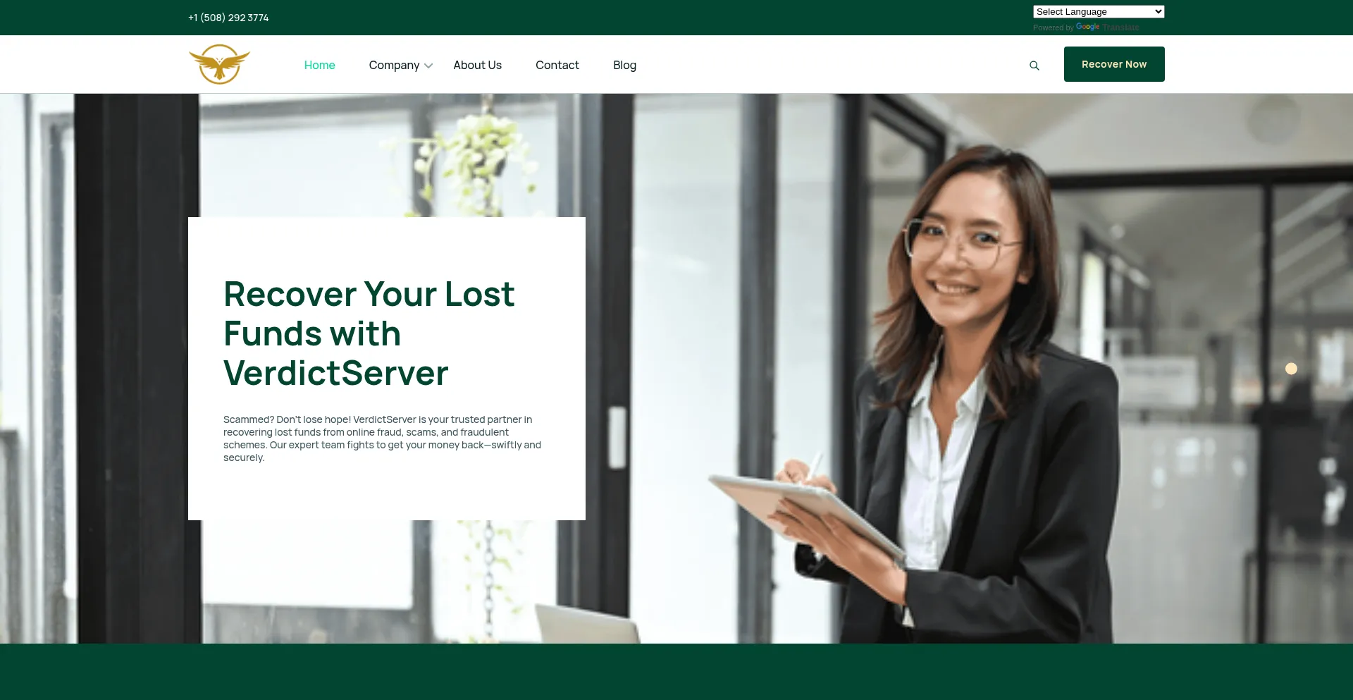 Website screenshot of Verdictserver.com