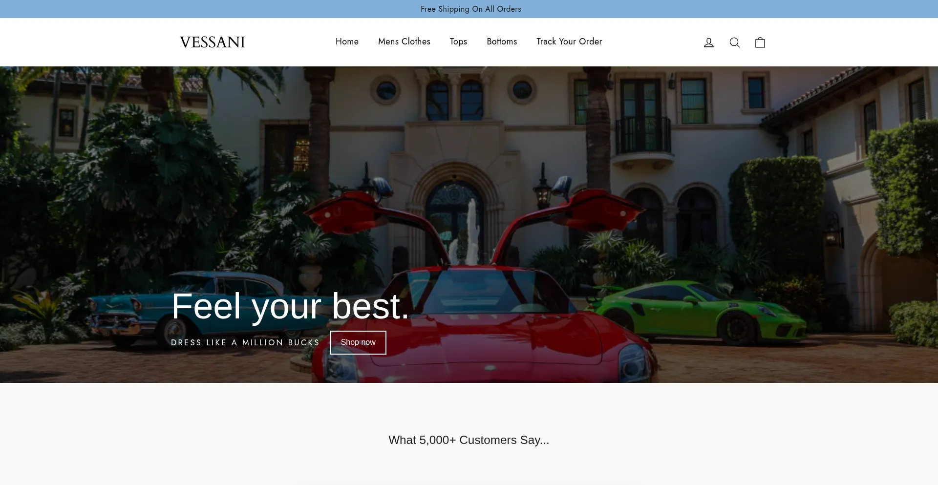Vessani.com