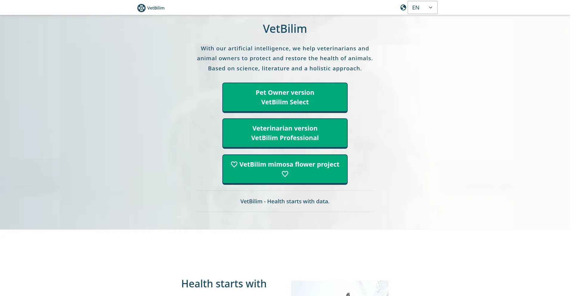 Website screenshot of Vetbilim.com