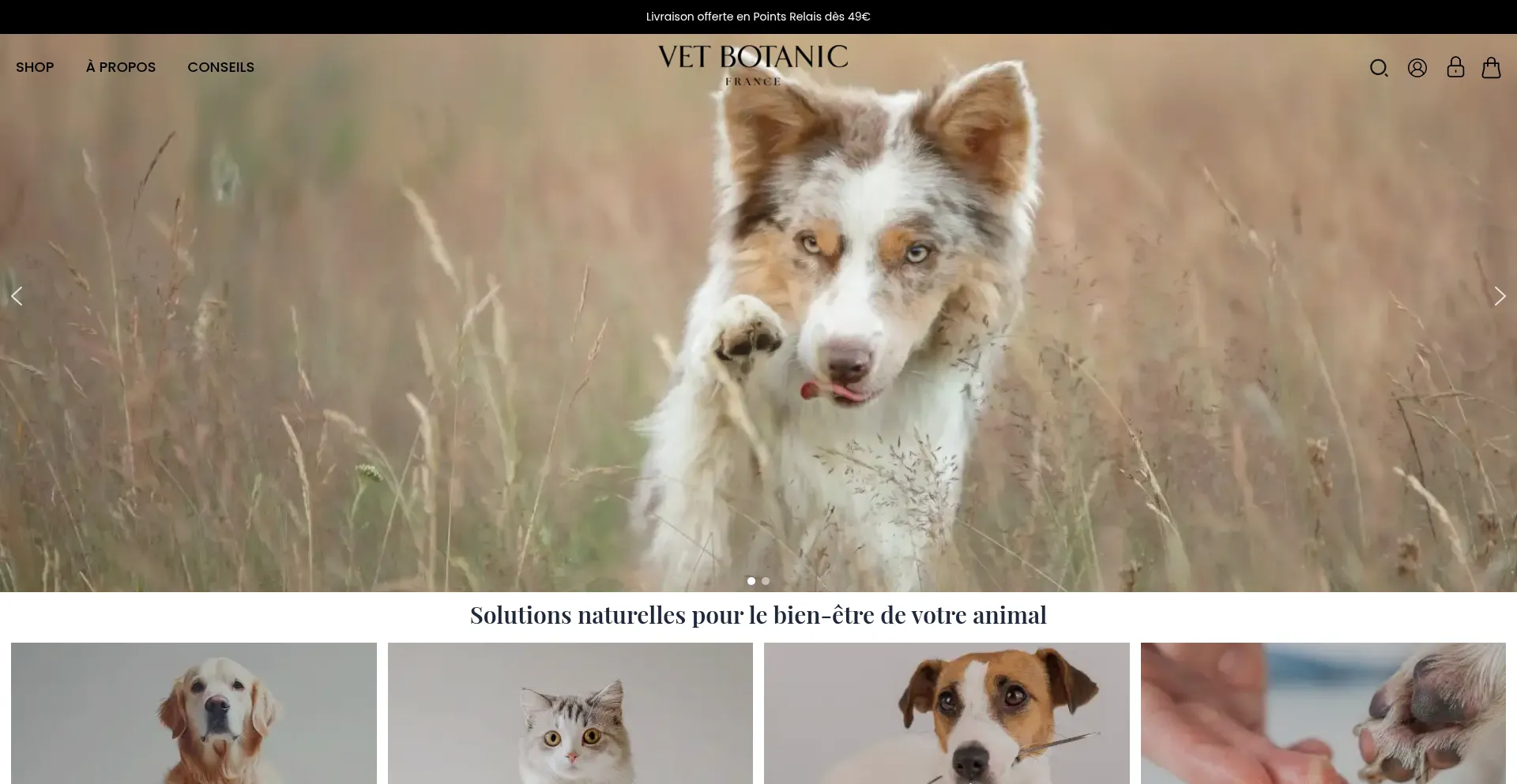 Vetbotanic.com