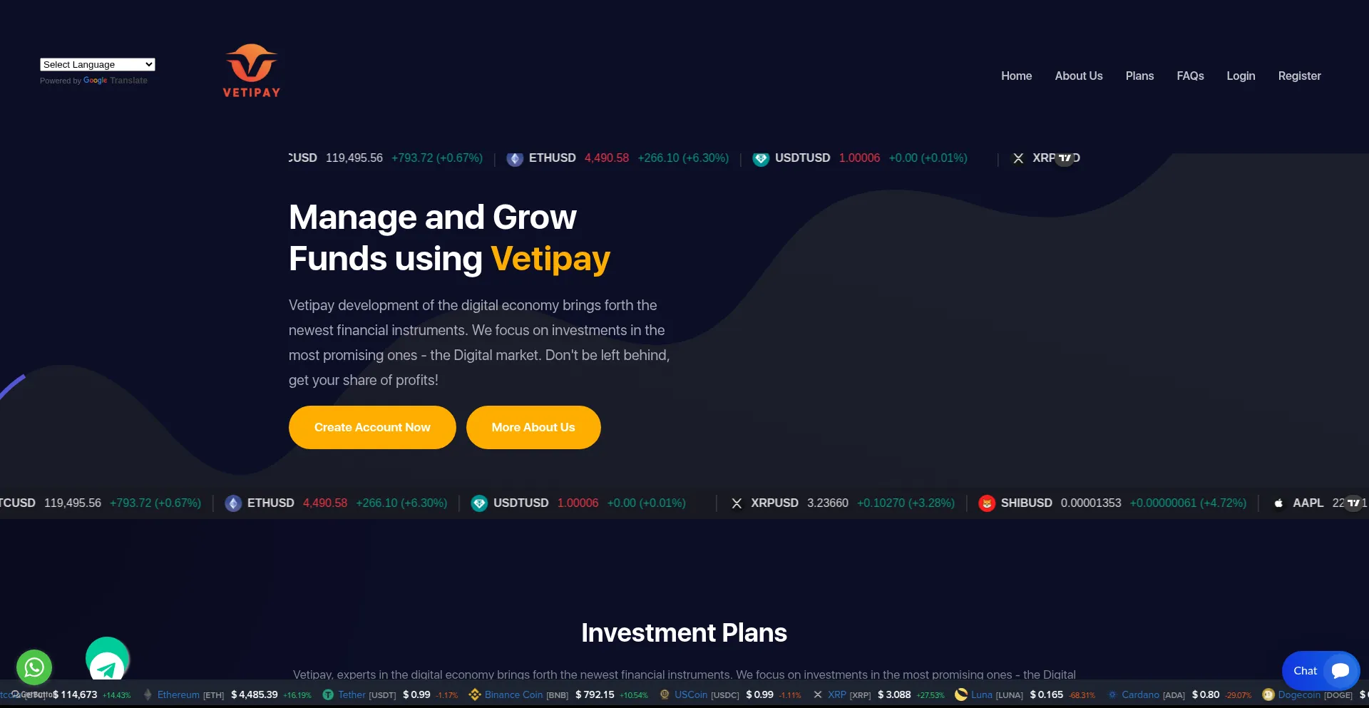 Website screenshot of Vetipay.net