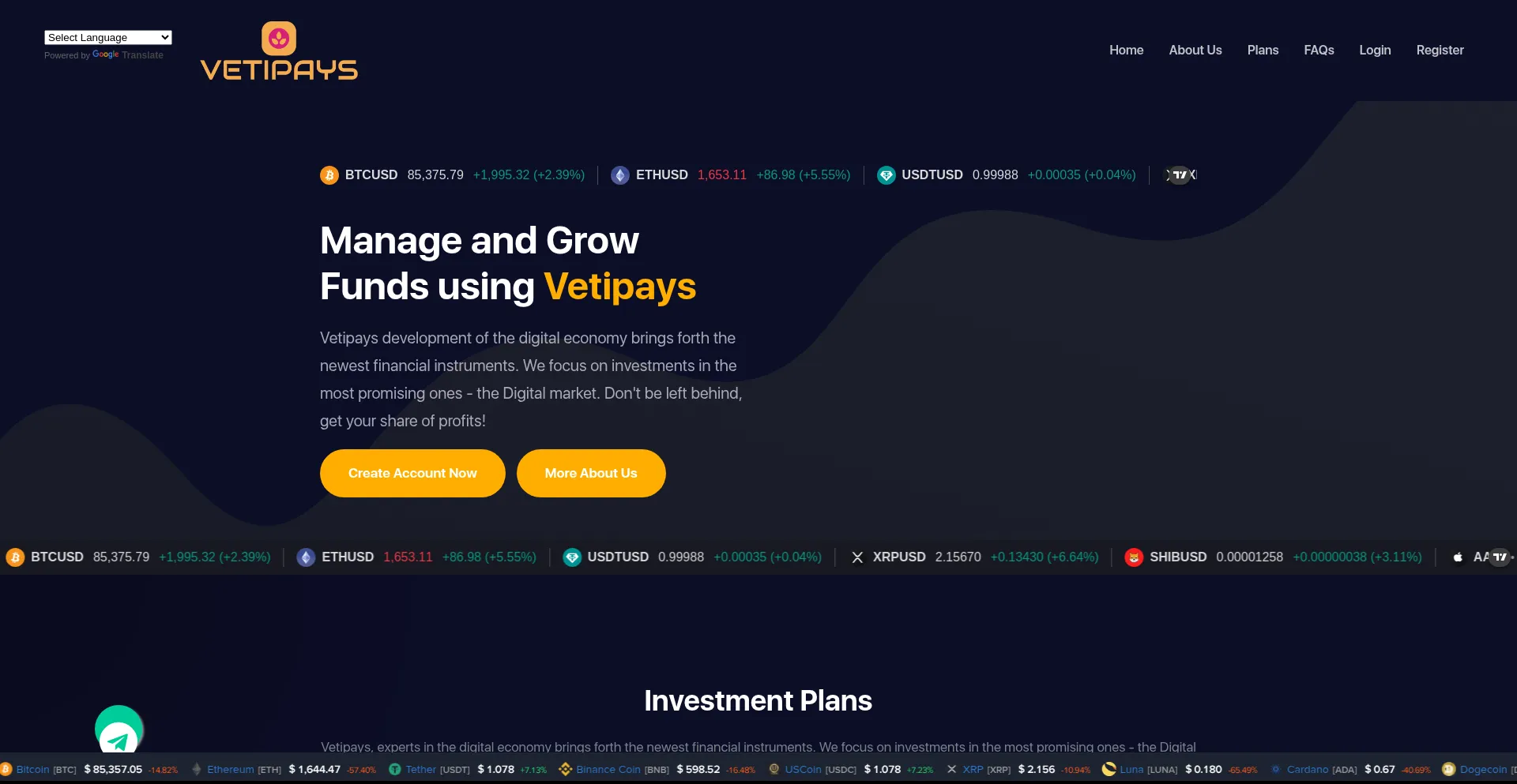 Website screenshot of Vetipays.com