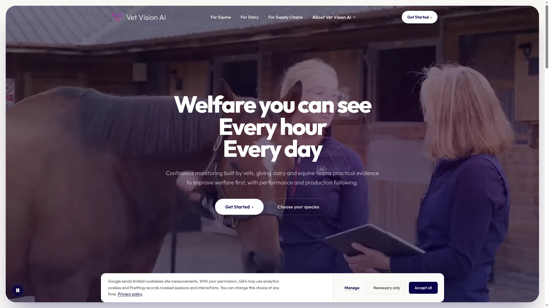 Vetvisionai.com
