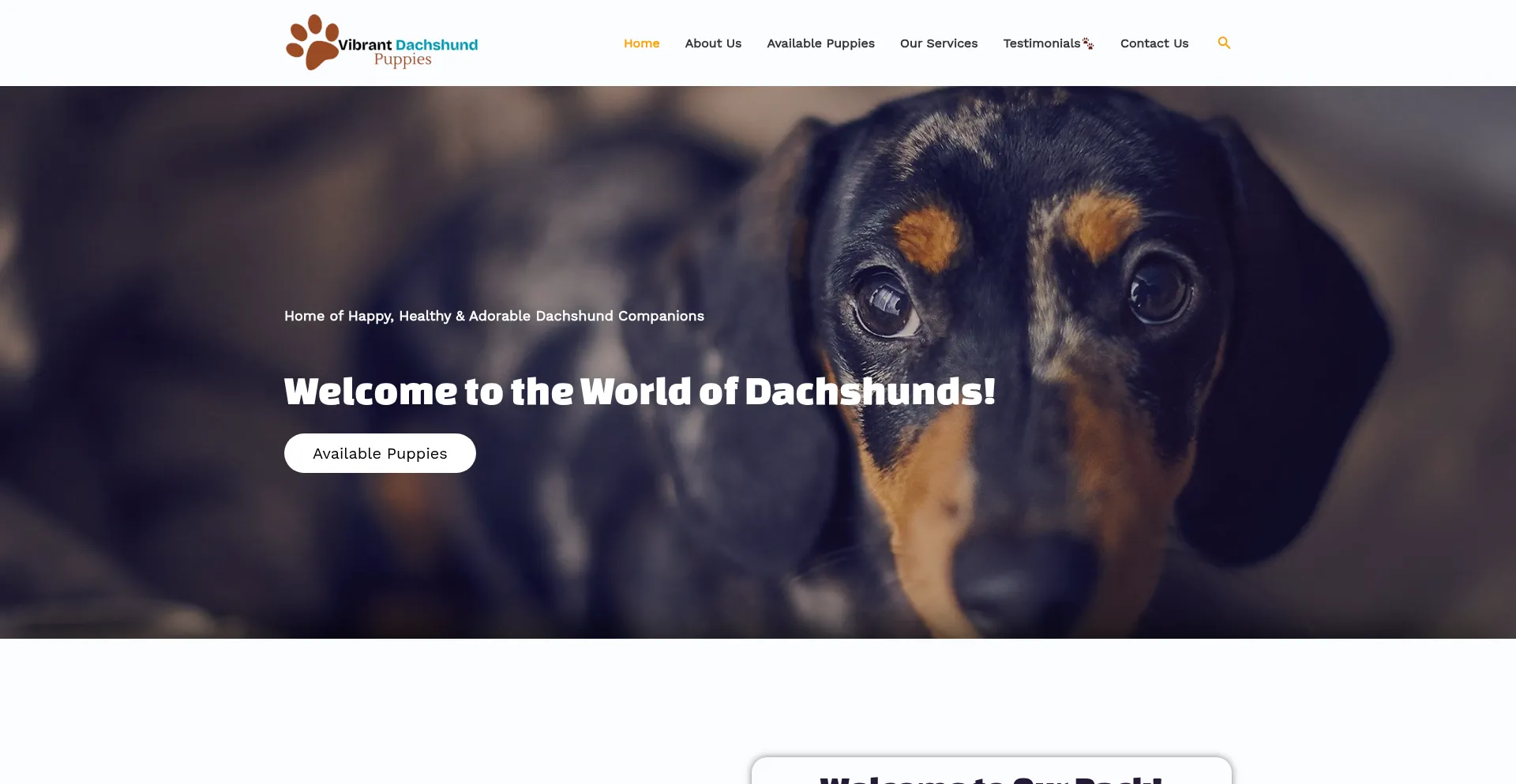 Website screenshot of Vibrantdachshundpuppies.com