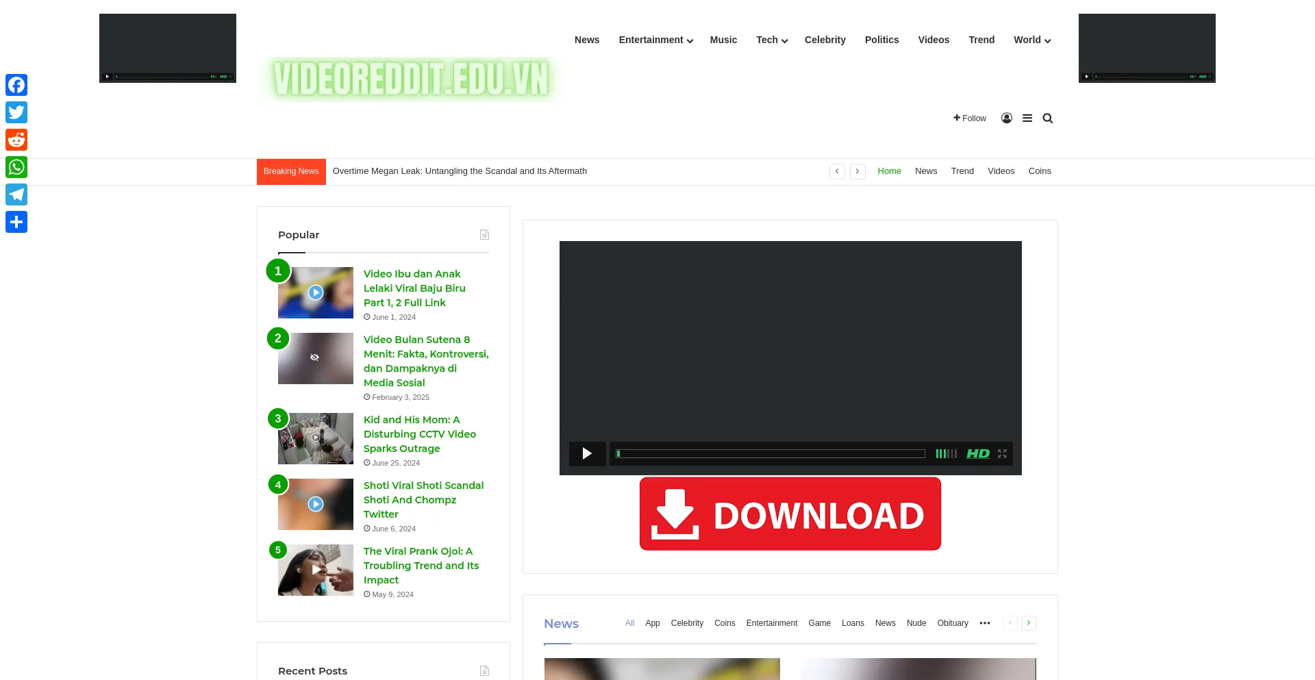 Website screenshot of Videoreddit.edu.vn
