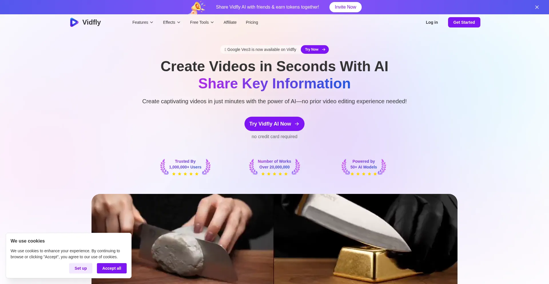 Website screenshot of Vidfly.ai