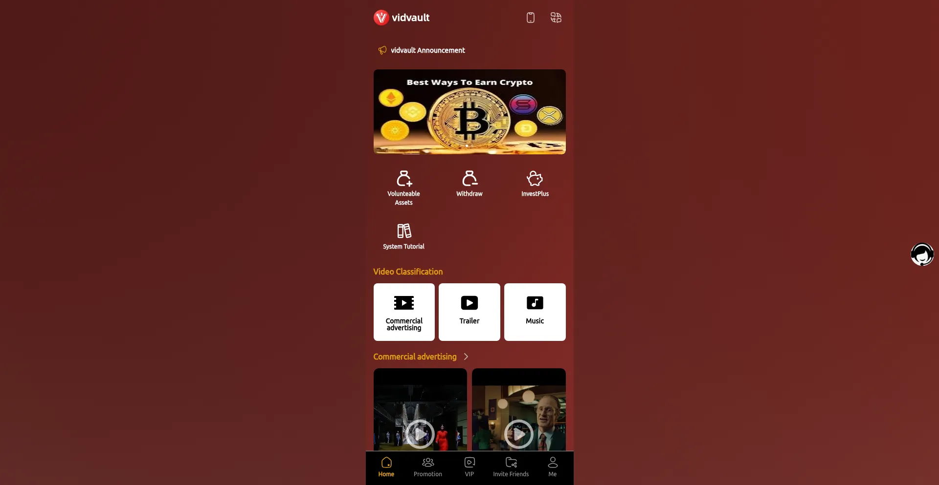 Website screenshot of Vidvault.vip