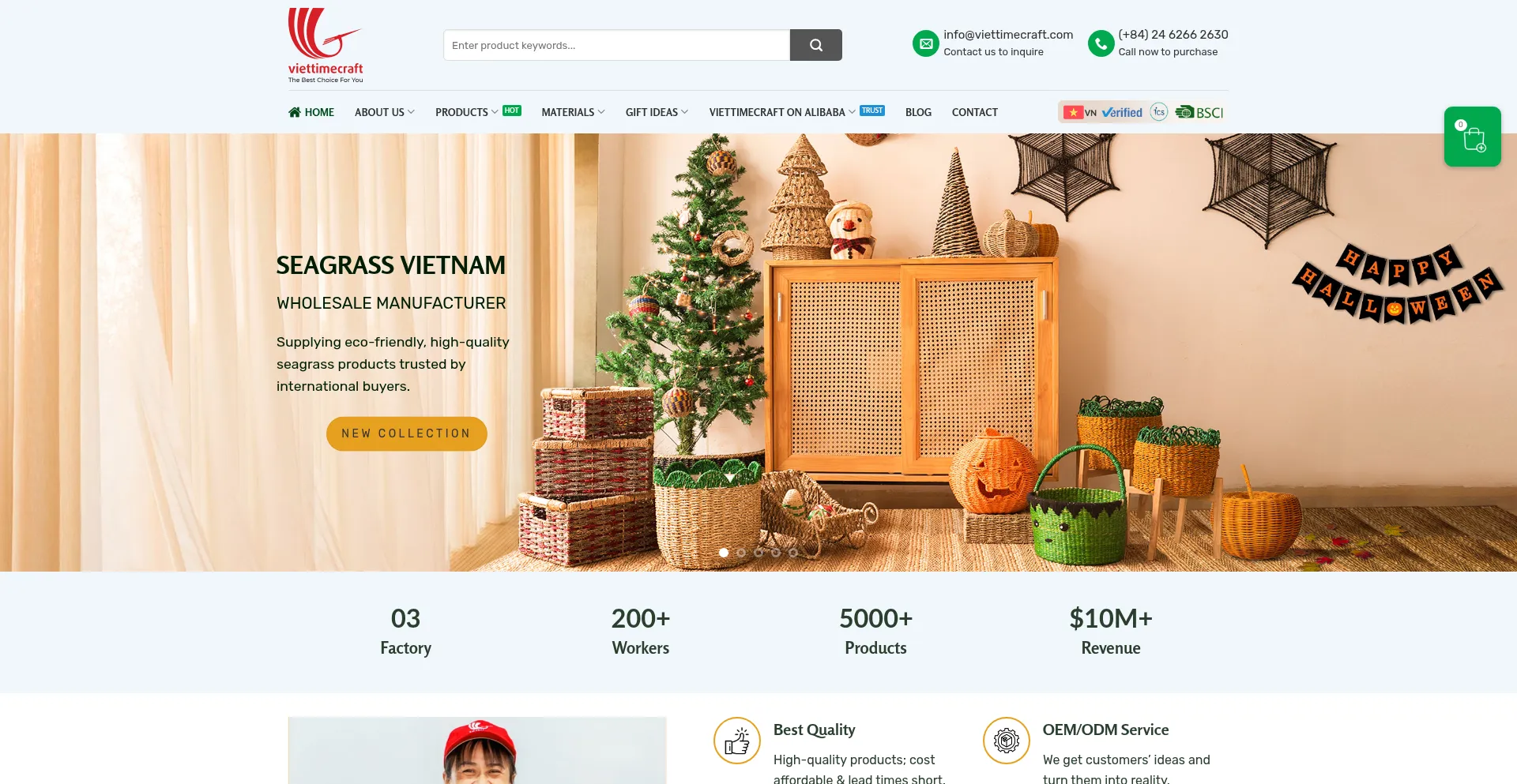 Website screenshot of Viettimecraft.com