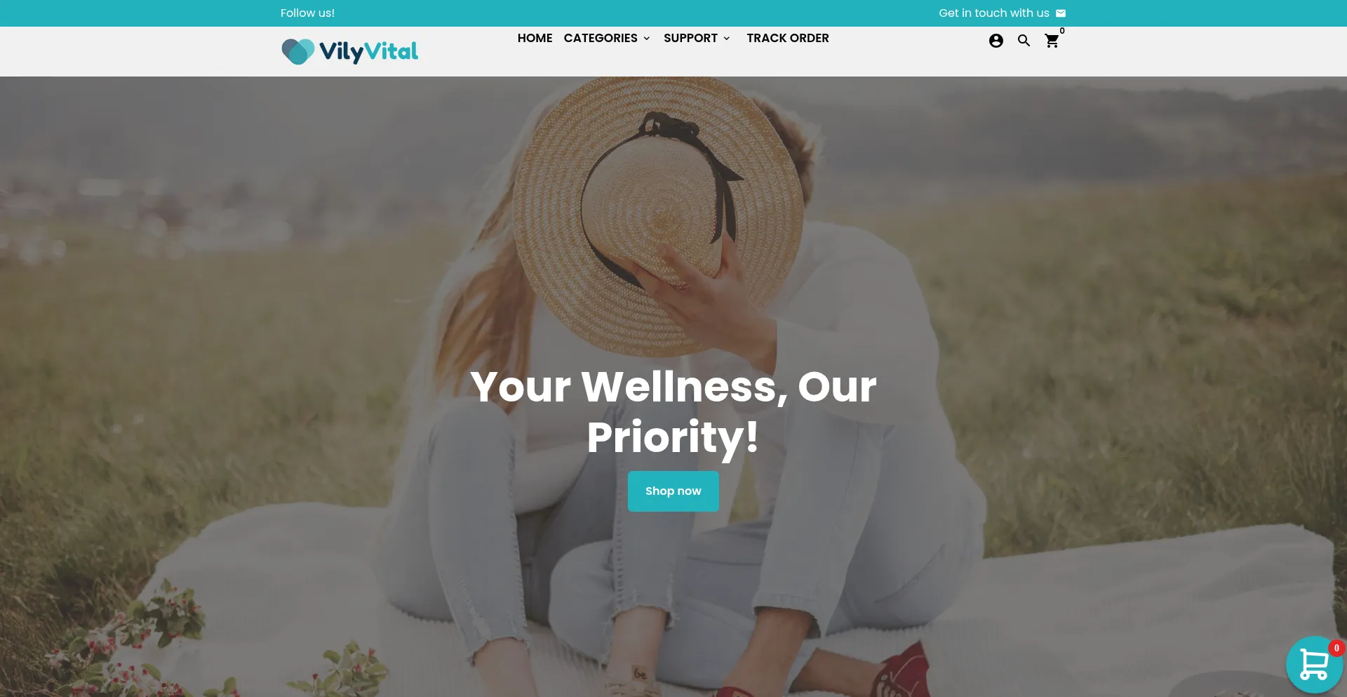 Website screenshot of Vilyvital.com
