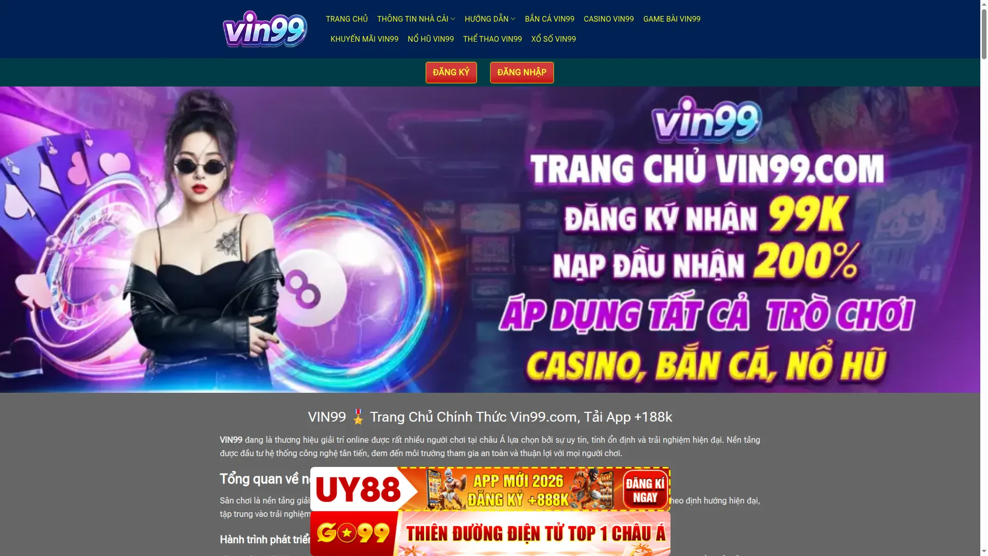 Vin99.de.com