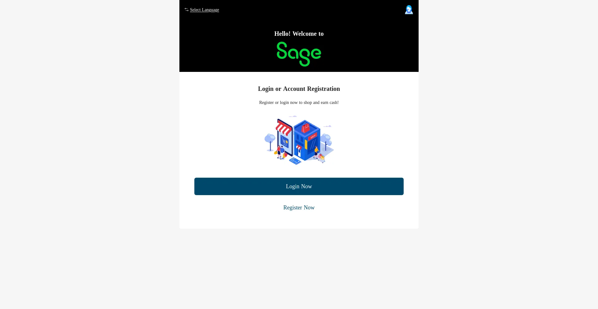 Website screenshot of Vipaisage.com