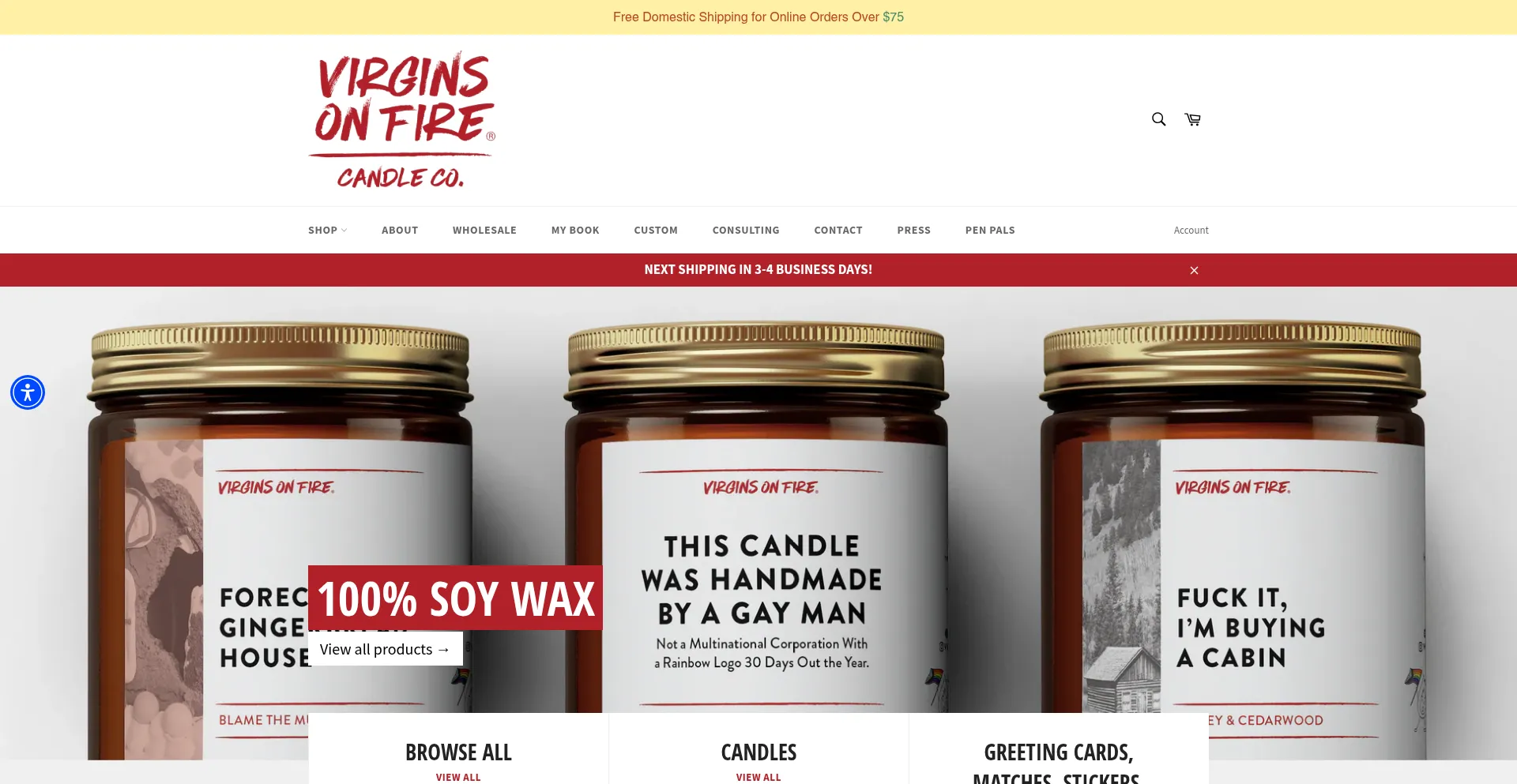 Website screenshot of Virginsonfire.com