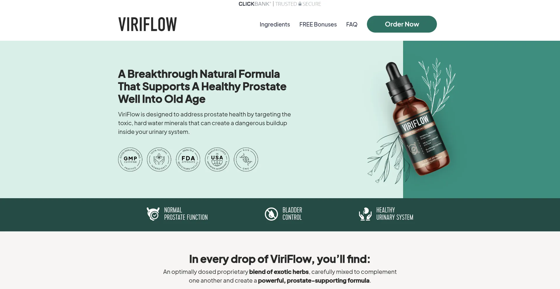 Viriflow.com