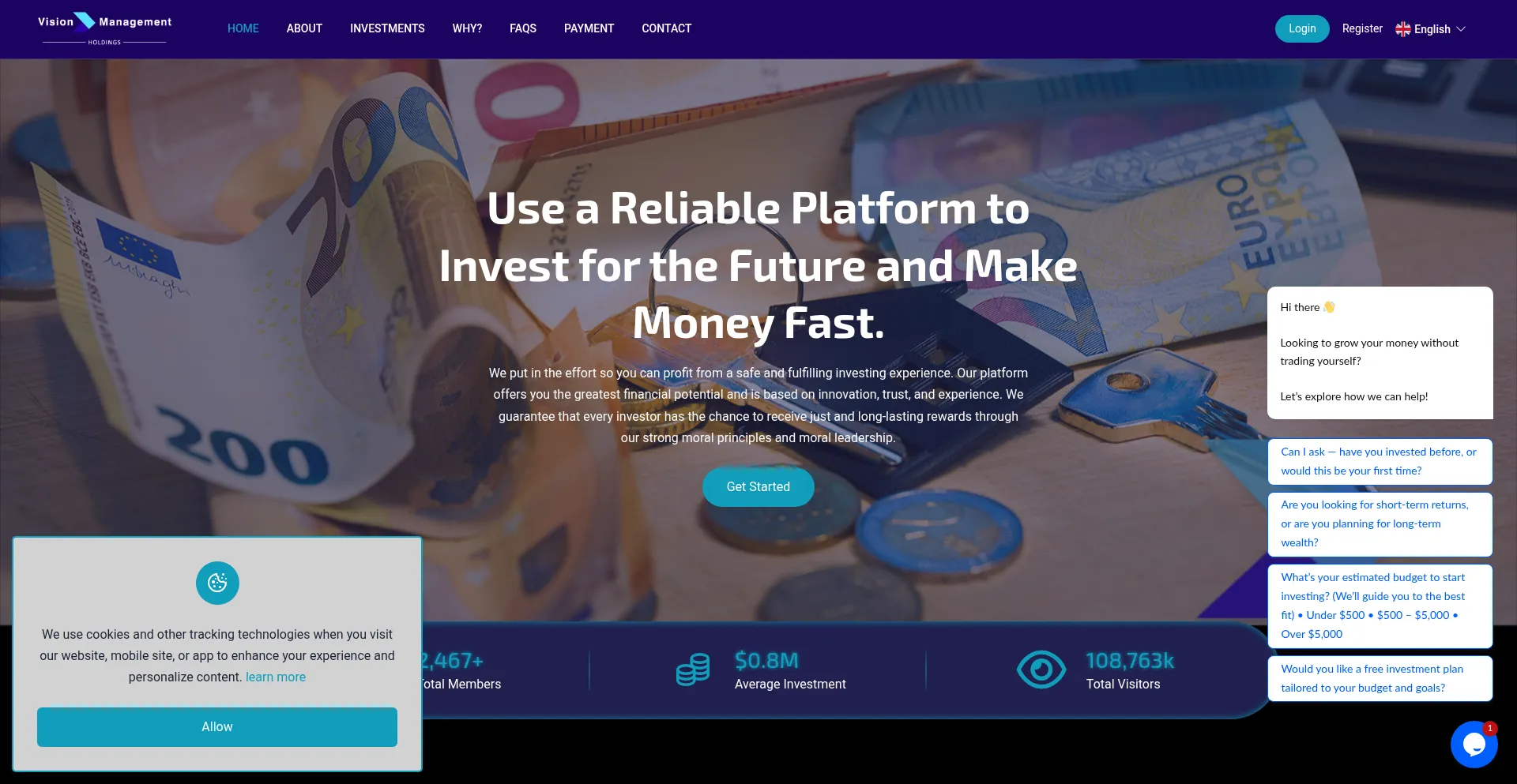 Visionmanagementholdings.com