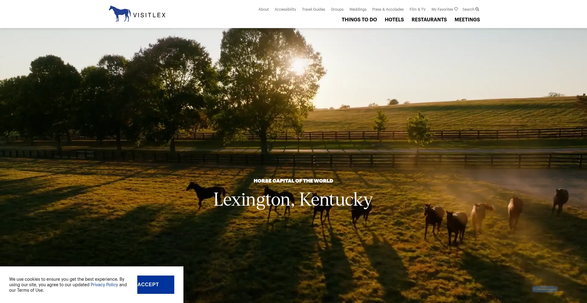 Website screenshot of Visitlex.com