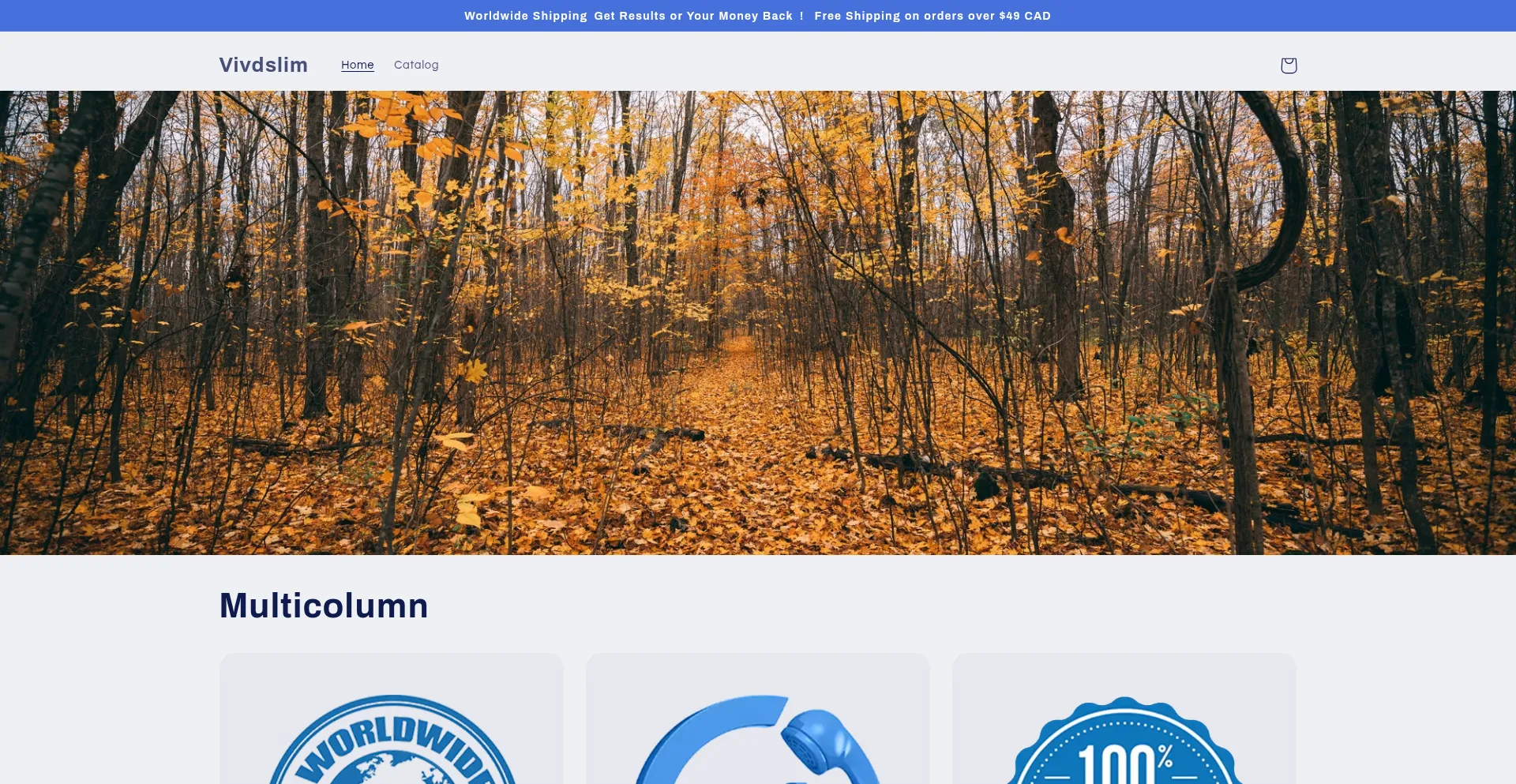 Website screenshot of Vivdslim.com