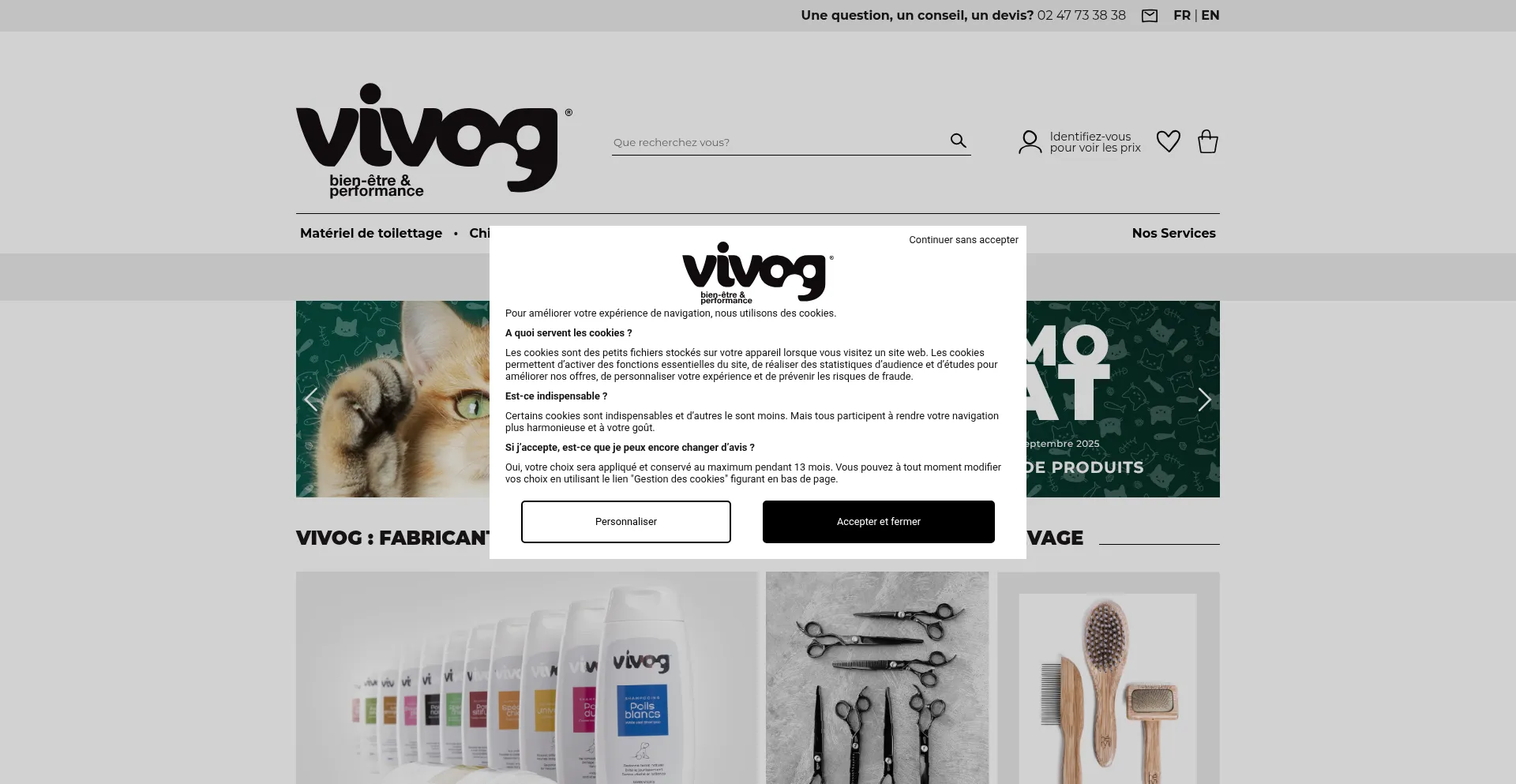Website screenshot of Vivog.fr