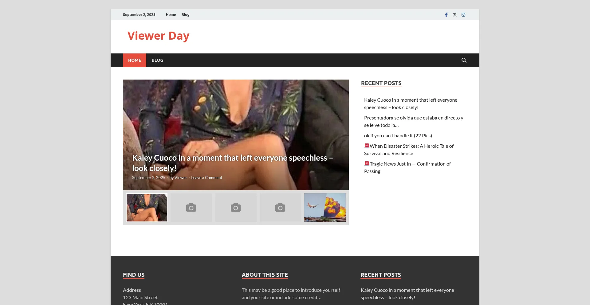 Website screenshot of Viwerday.online