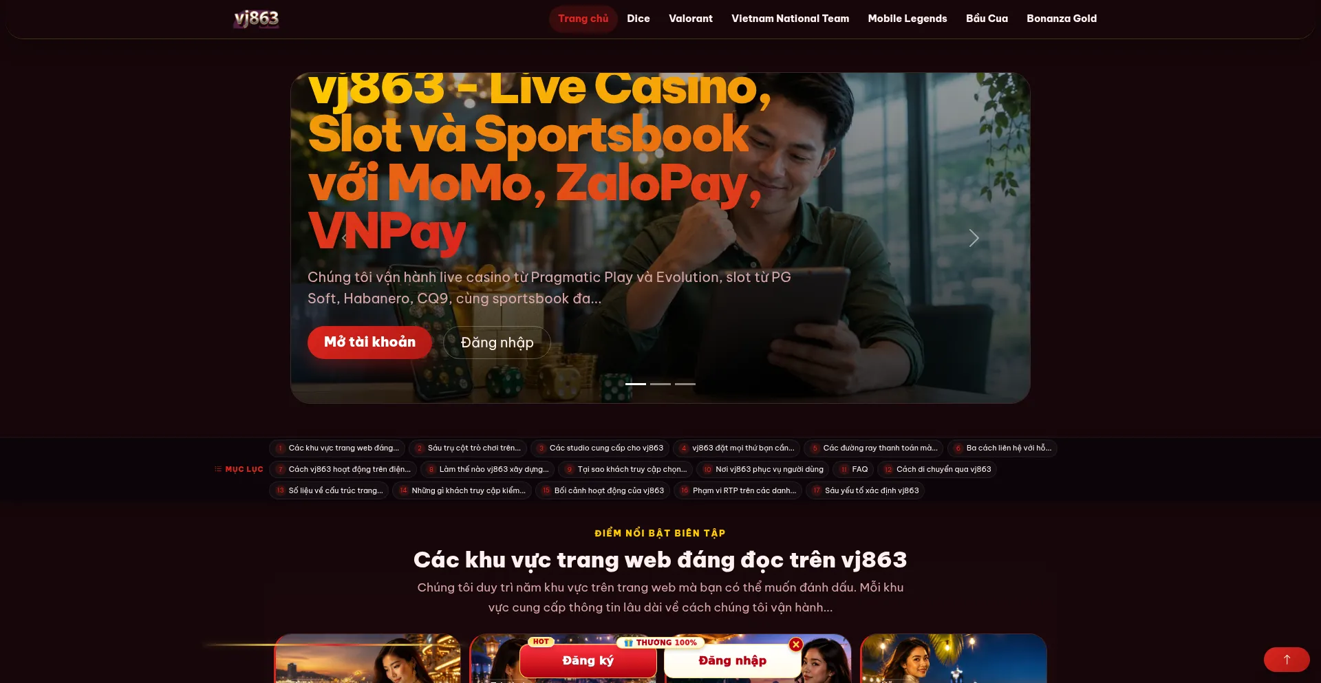 Vj863.com