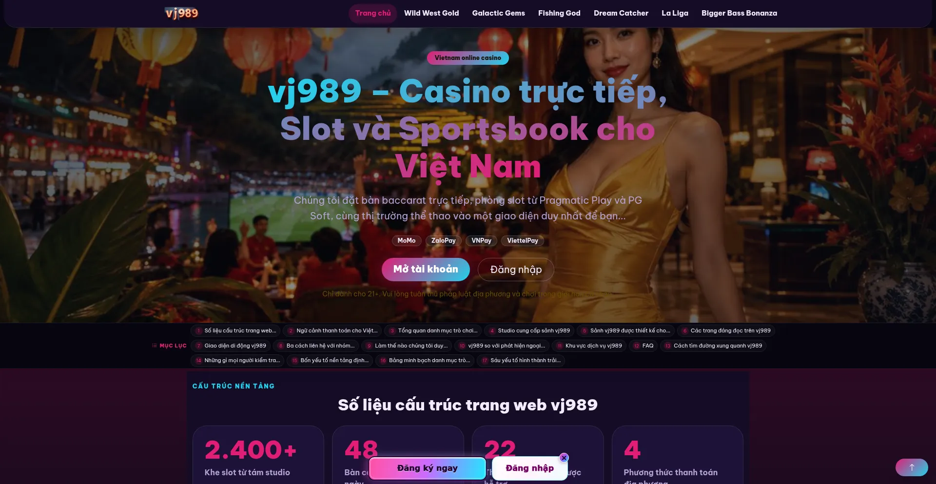 Vj989.com