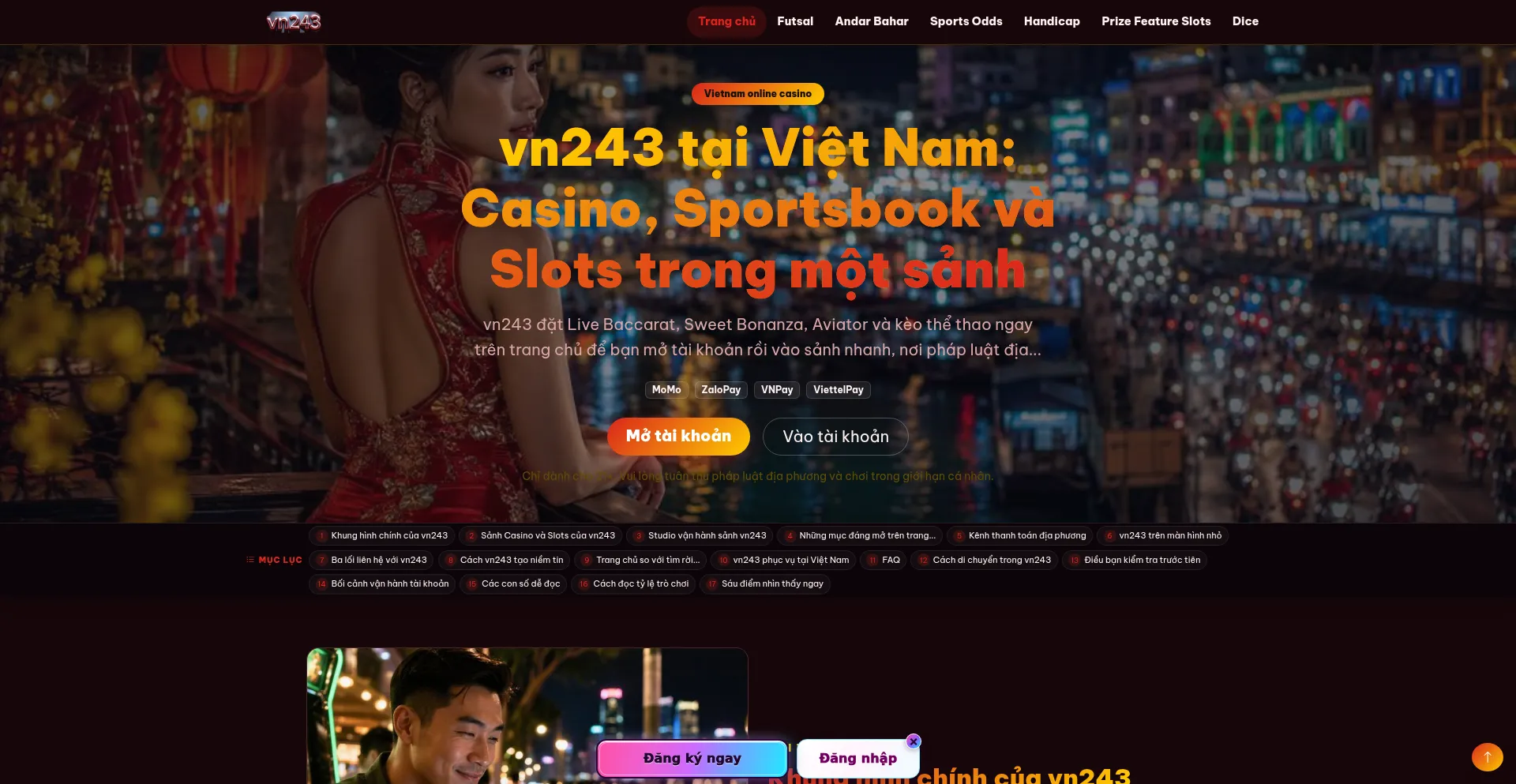 Vn243.com
