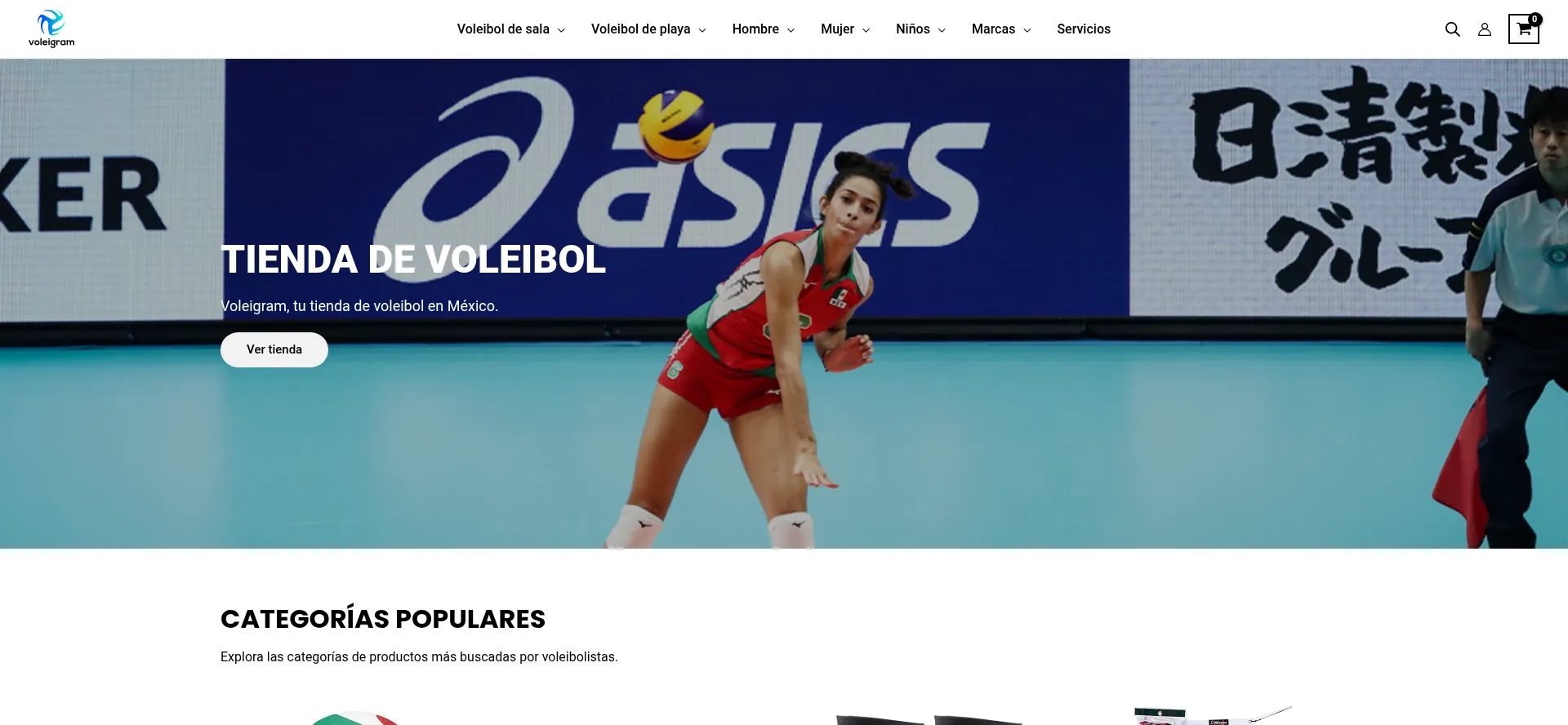 Website screenshot of Voleigram.com