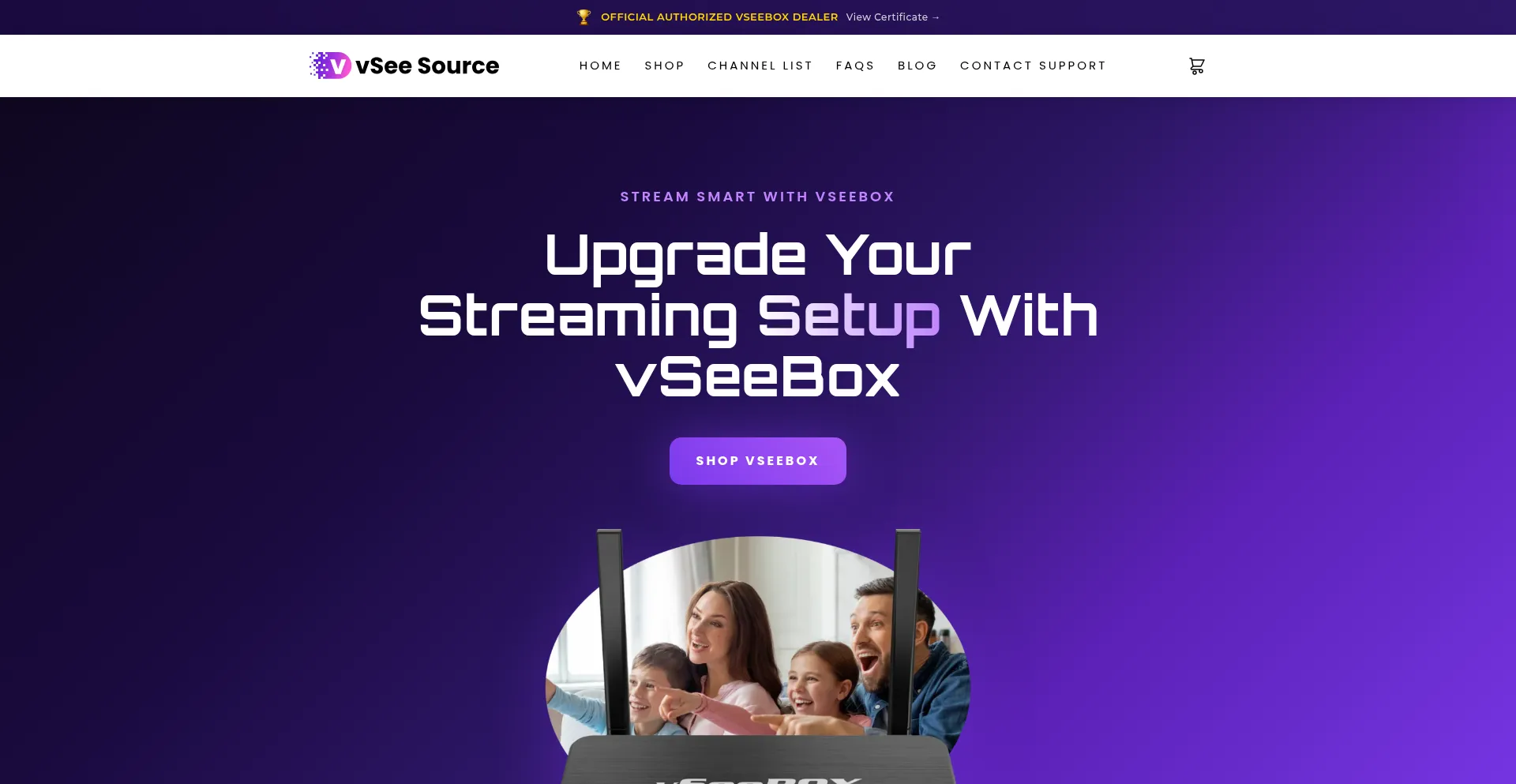 Vseesource.com
