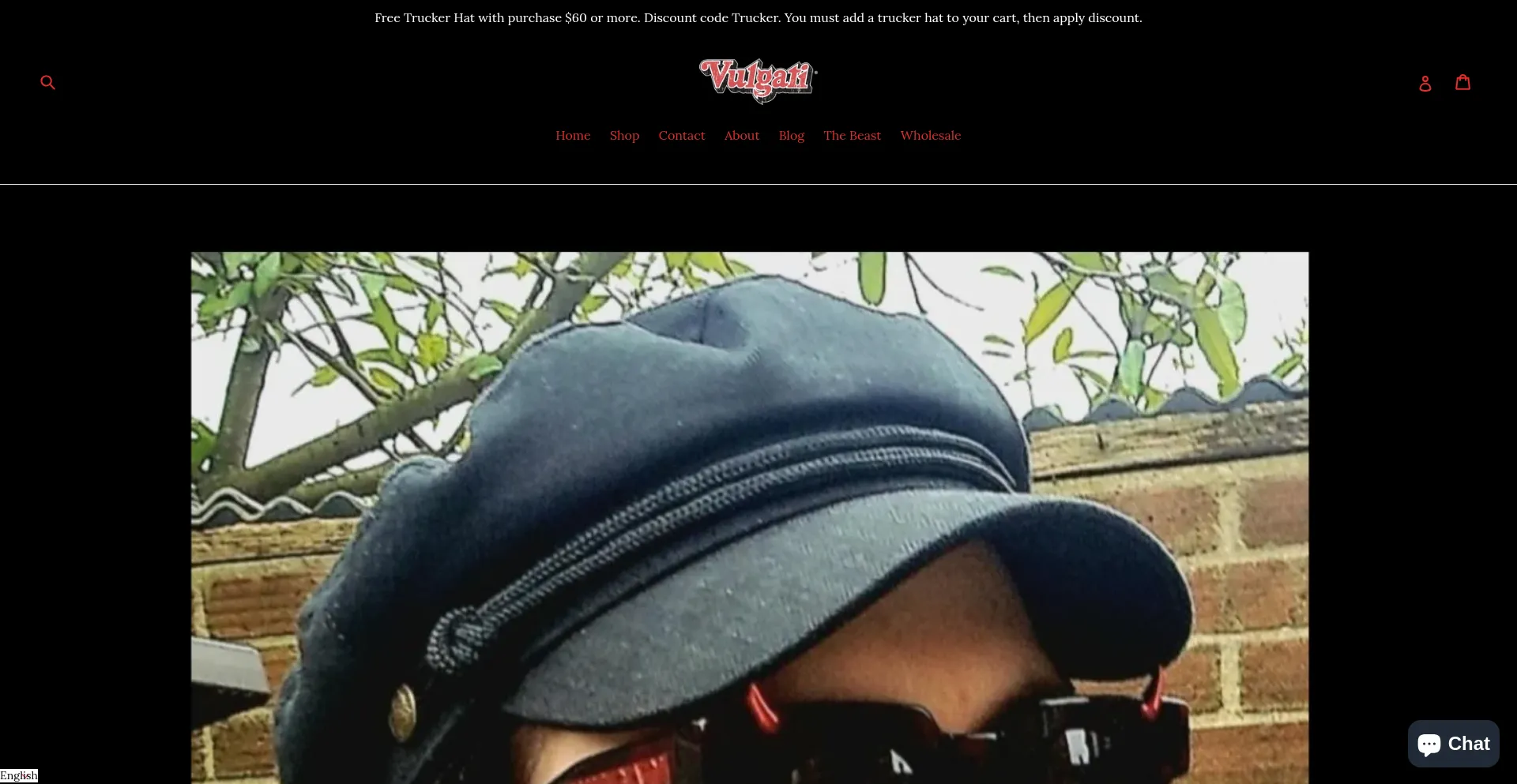 Website screenshot of Vulgati.com