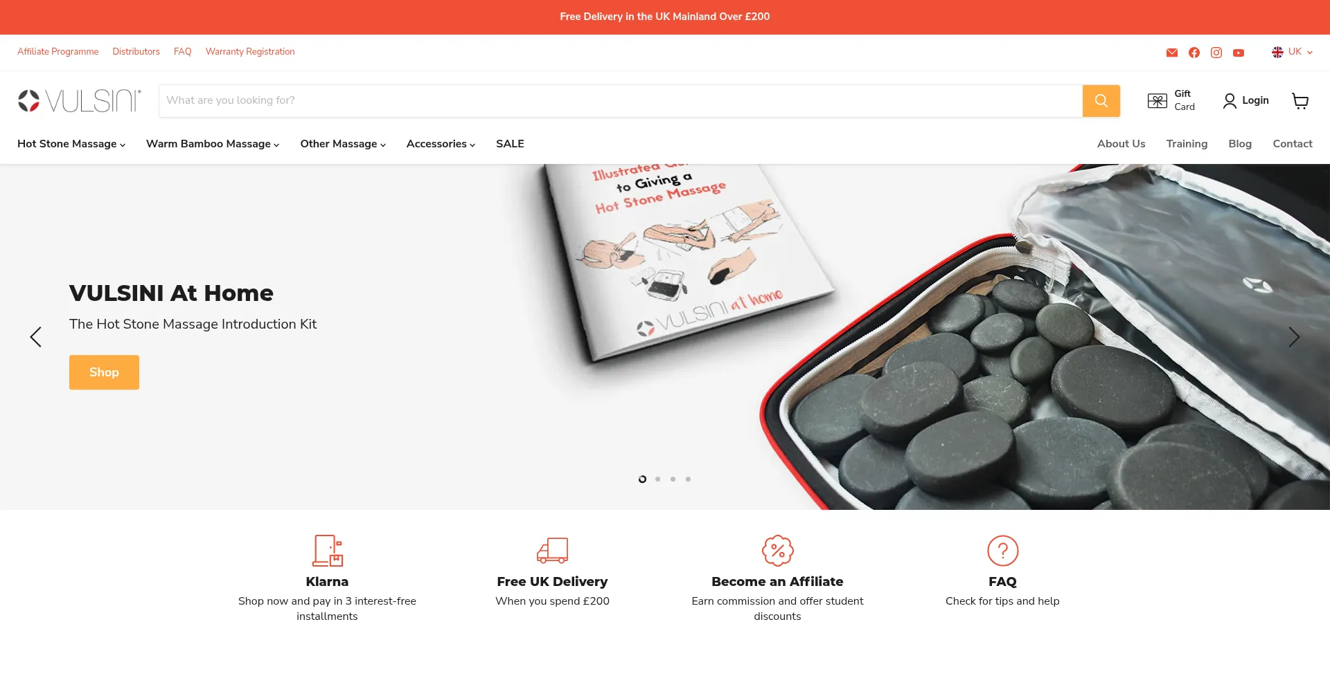 Website screenshot of Vulsini.com