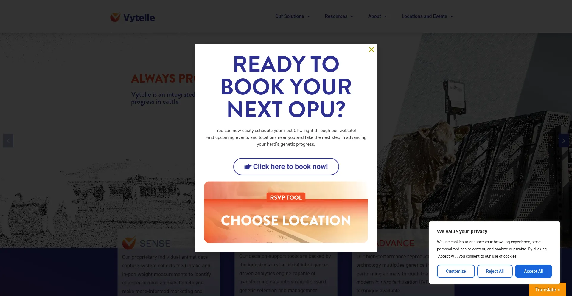 Vytelle.com