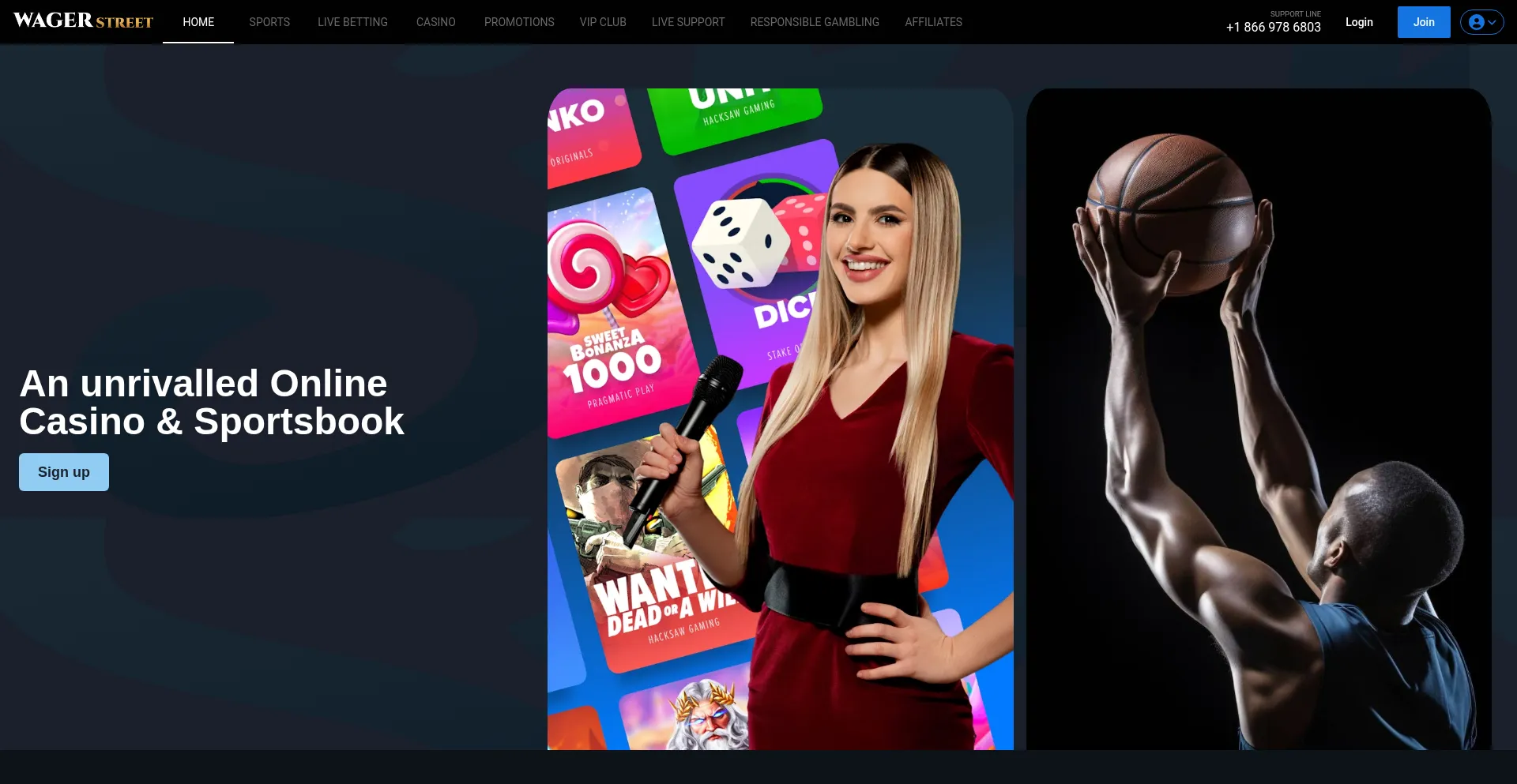 Website screenshot of Wagerstreet.net
