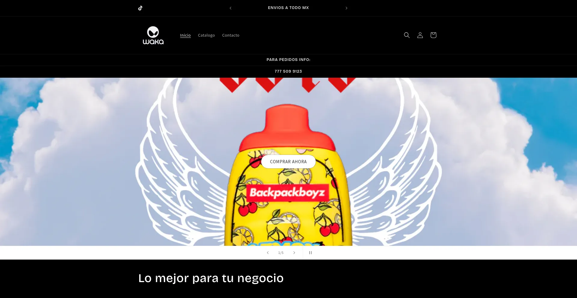 Website screenshot of Wakamayoreomx.com