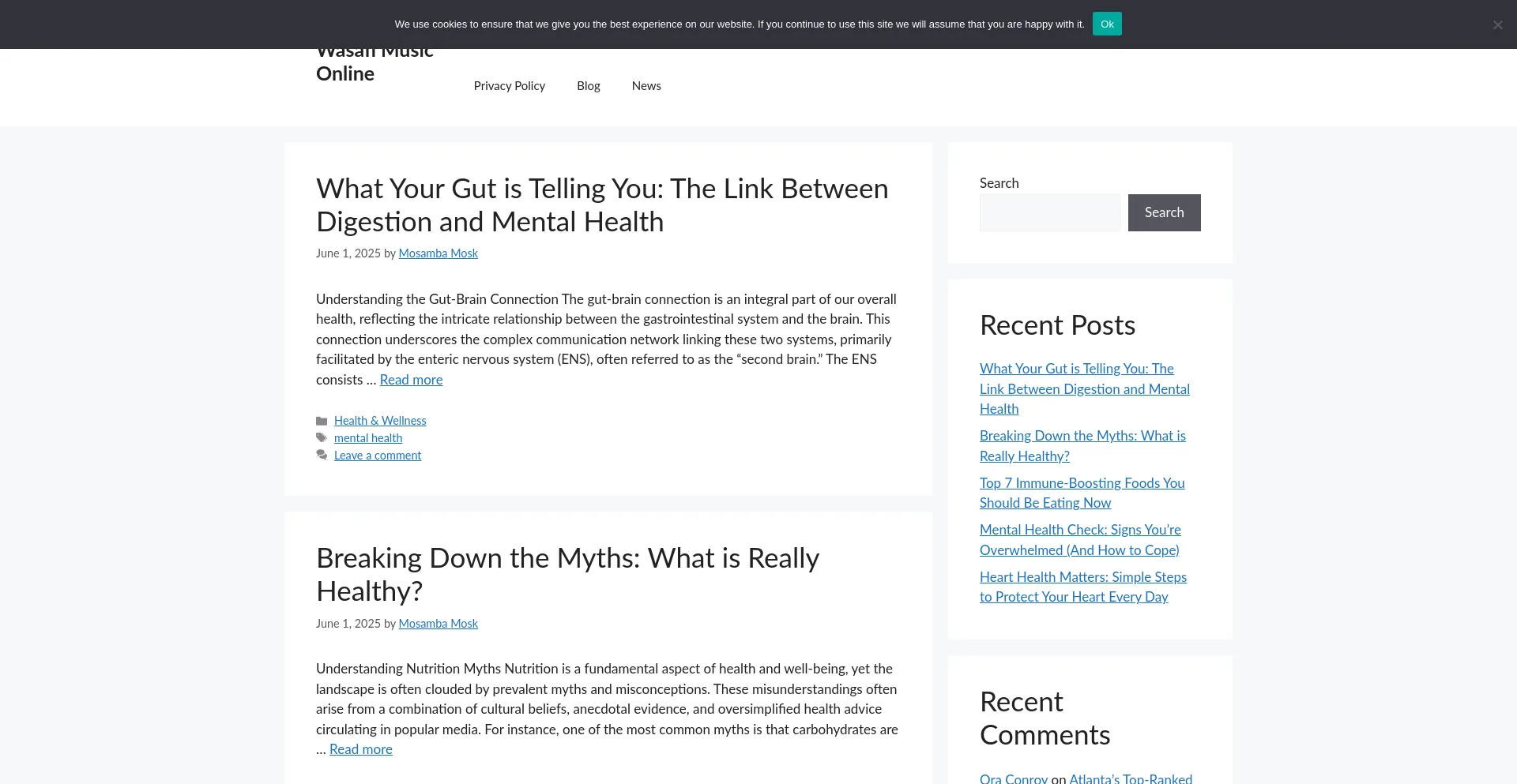 Website screenshot of Wasafimusic.com