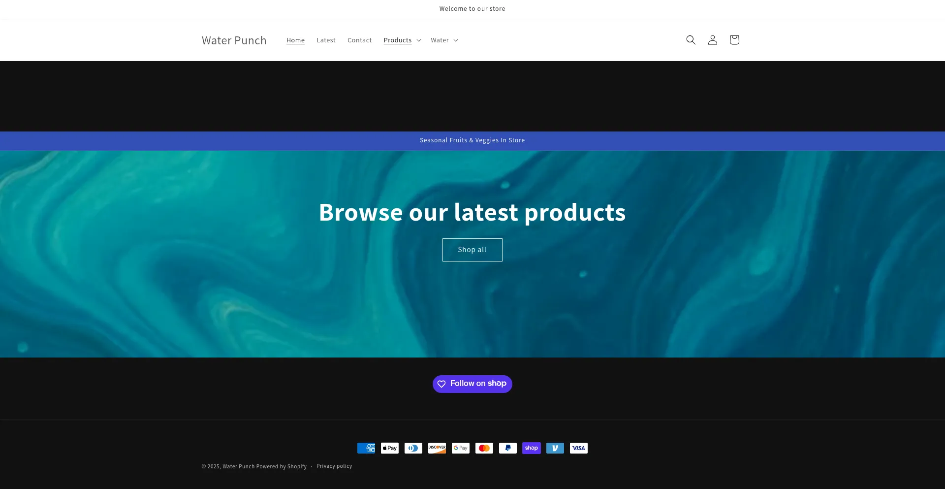 Website screenshot of Waterpunch.shop