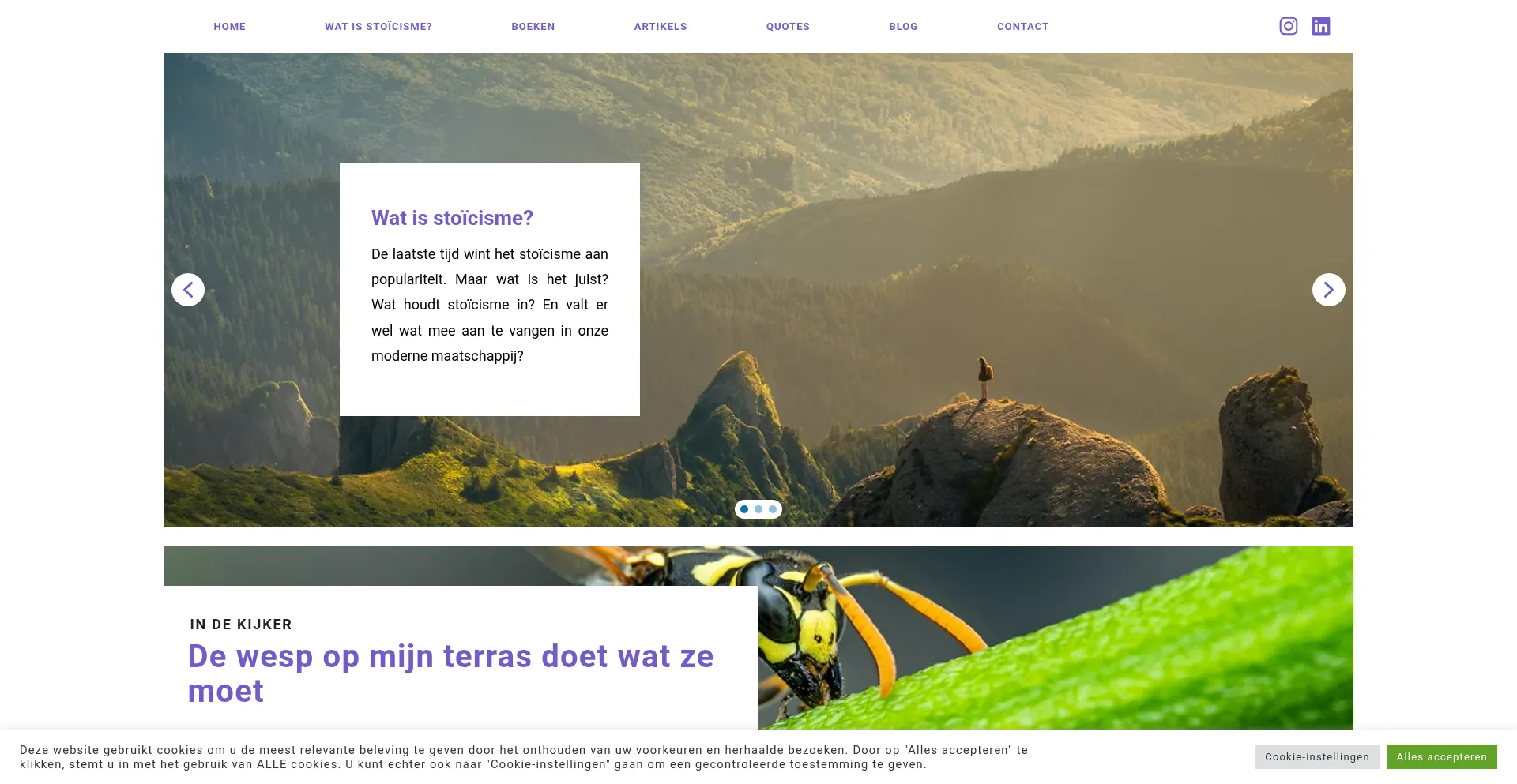 Website screenshot of Watisstoicisme.be