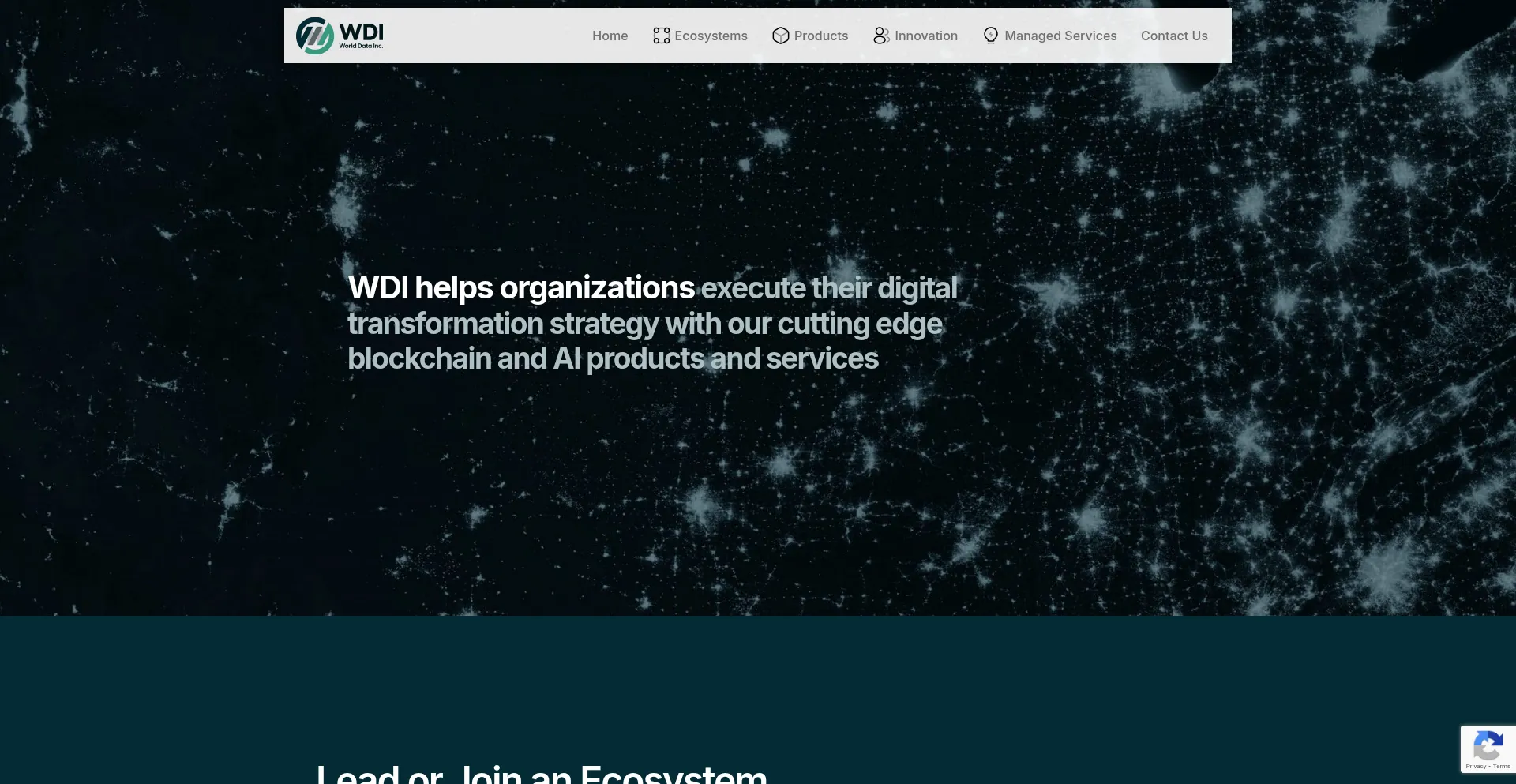 Website screenshot of Wdi.net