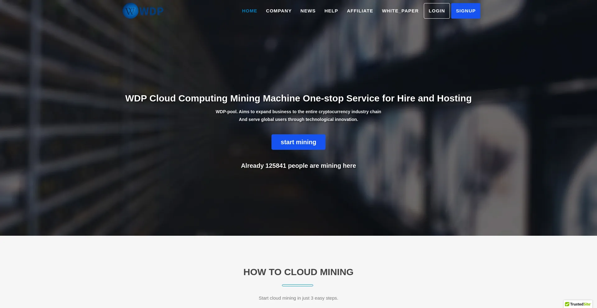 Website screenshot of Wdpjyy.com