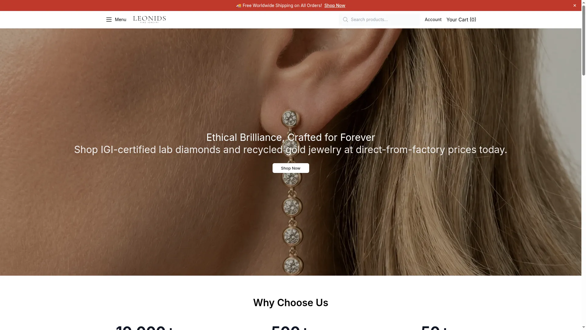 Wearleonids.shop