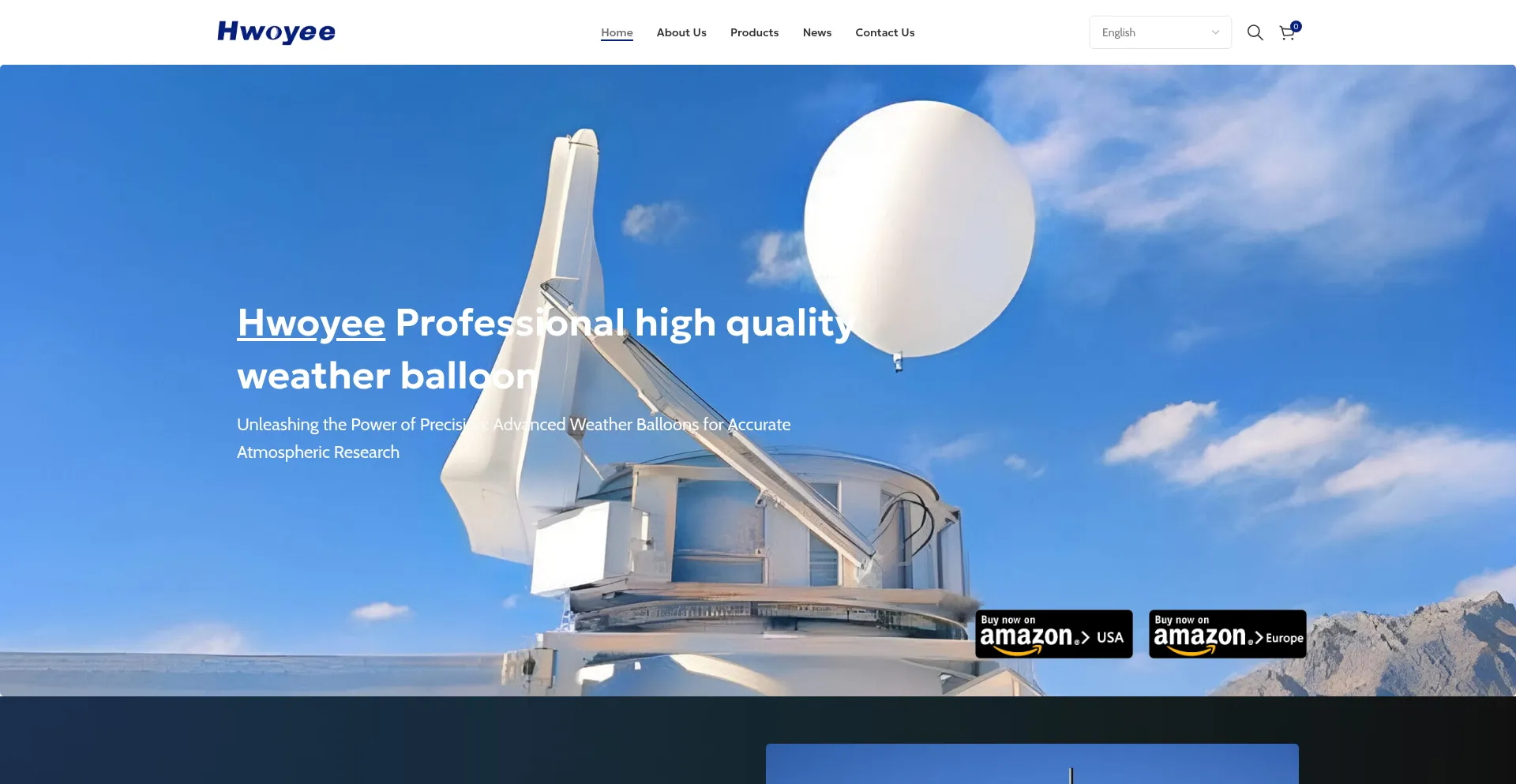 Website screenshot of Weatherballoons.net