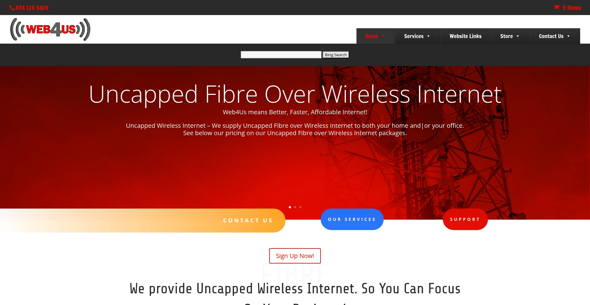 Website screenshot of Web4us.co.za