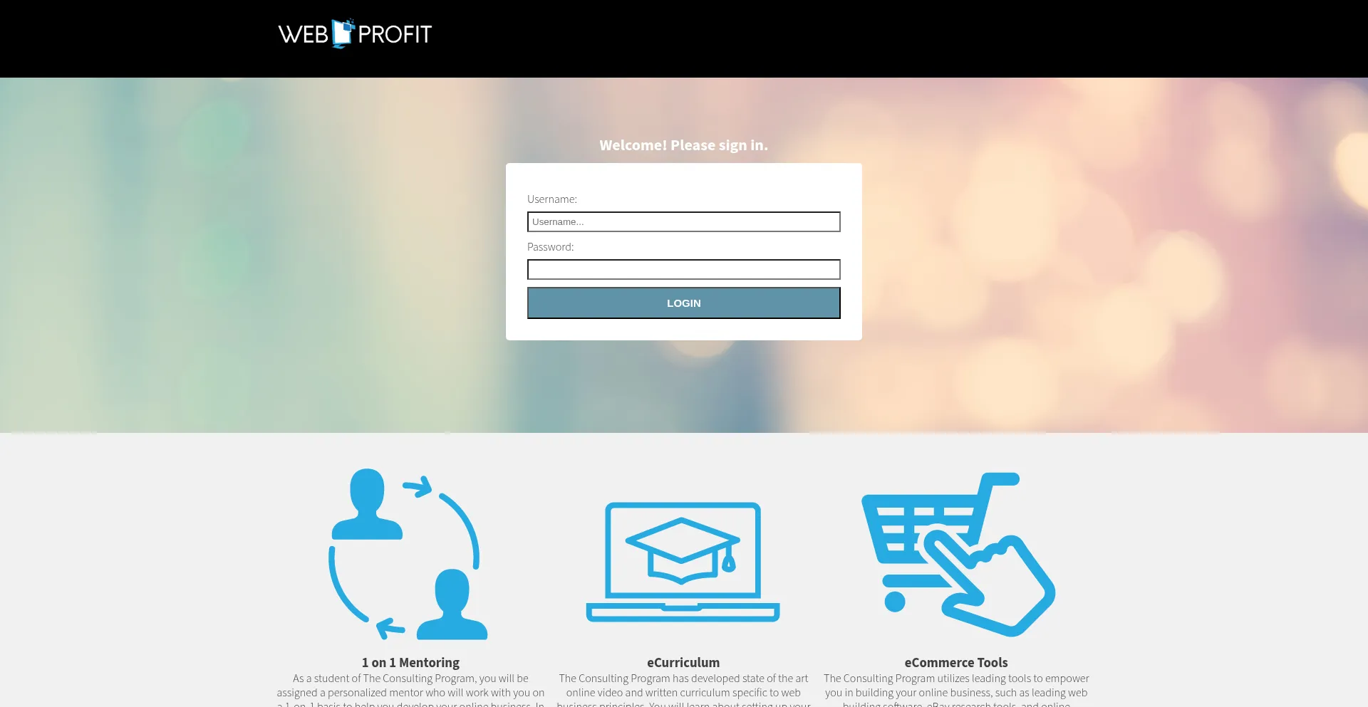Webprofit.website