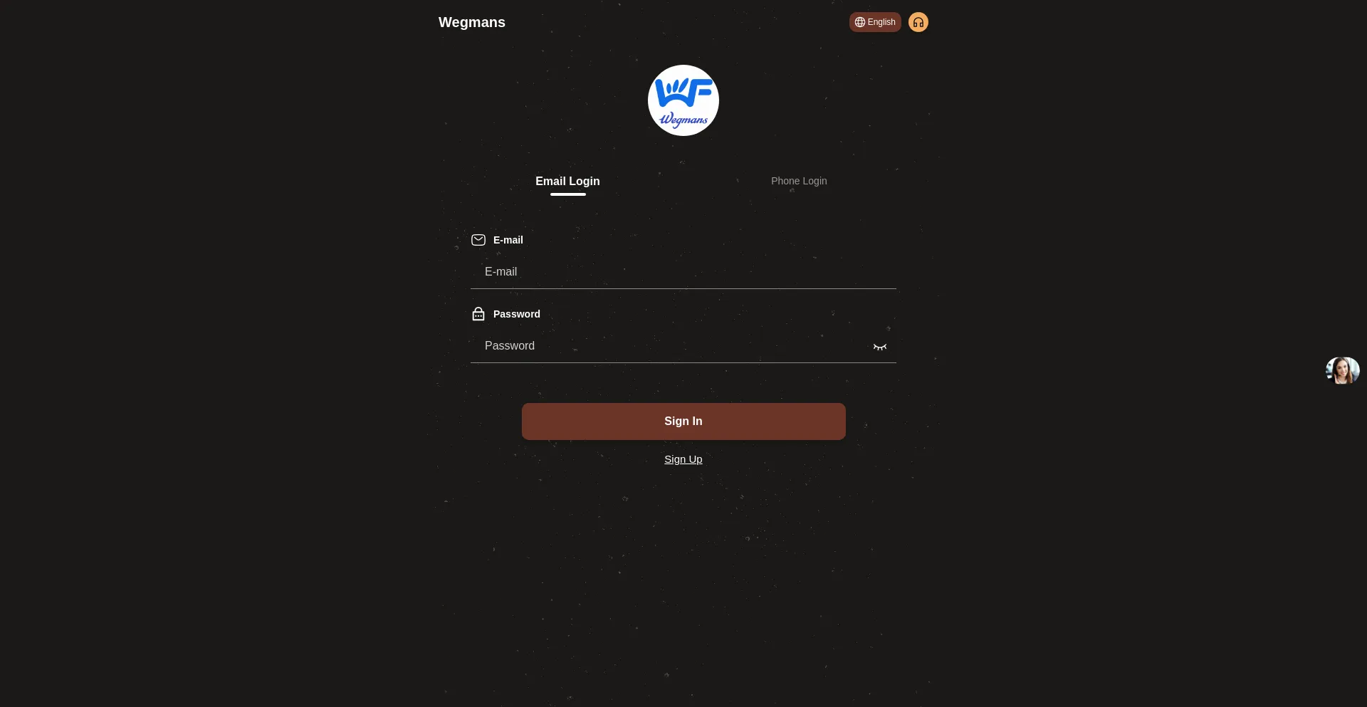 Website screenshot of Wegmams1.com