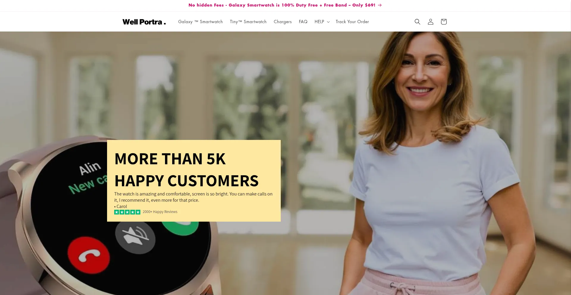 Website screenshot of Wellportra.com