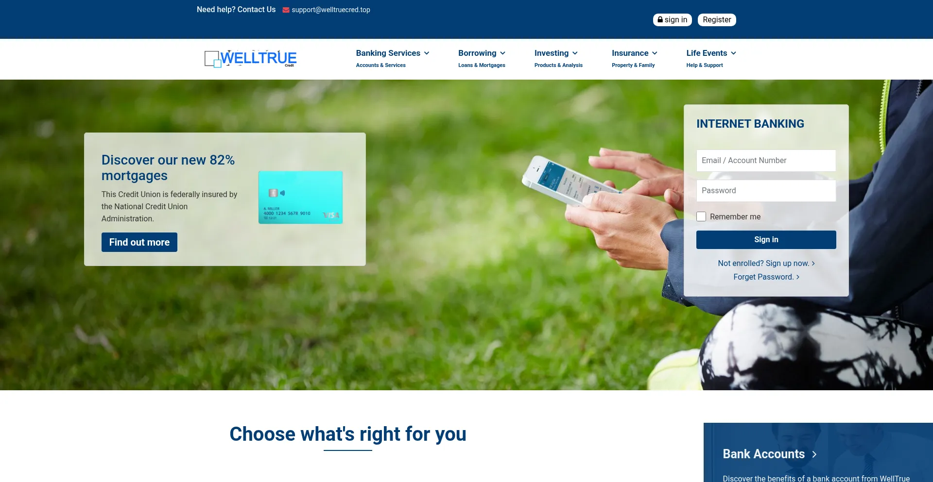Website screenshot of Welltruecred.top