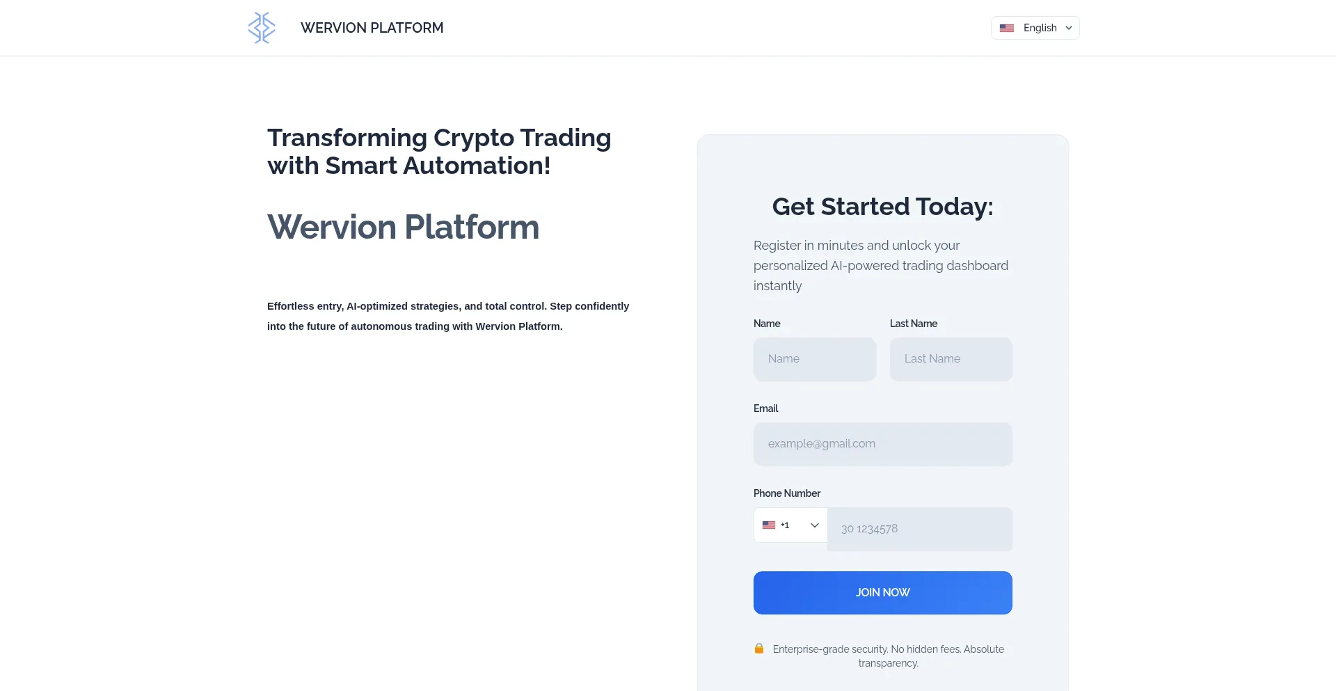 Website screenshot of Wervionplatform.com