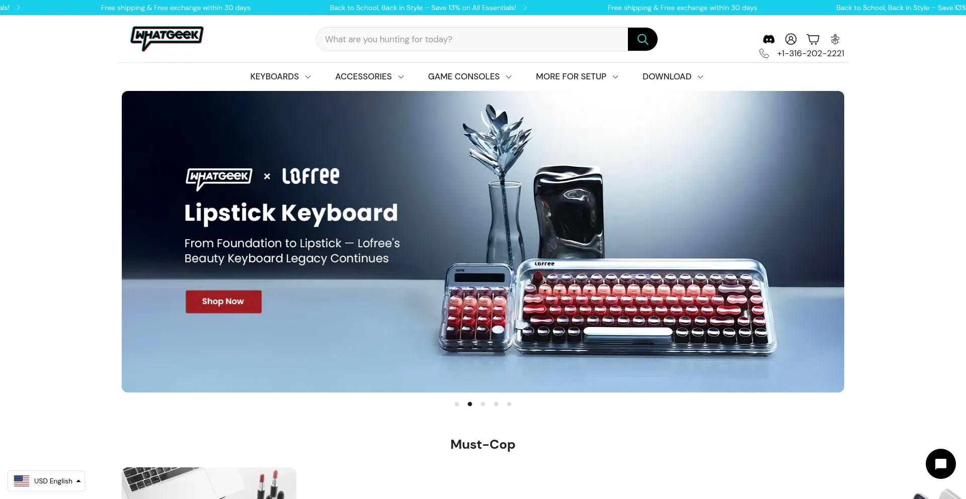 Website screenshot of Whatgeek.com