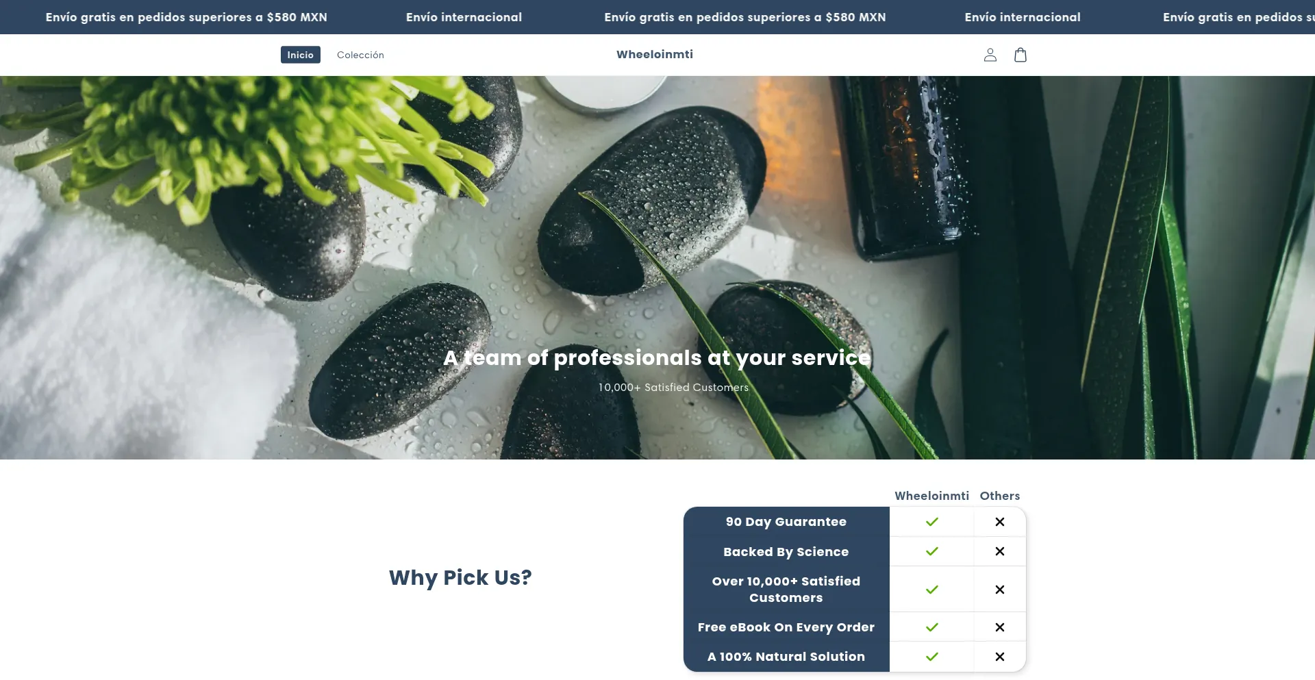 Website screenshot of Wheeloinmti.com