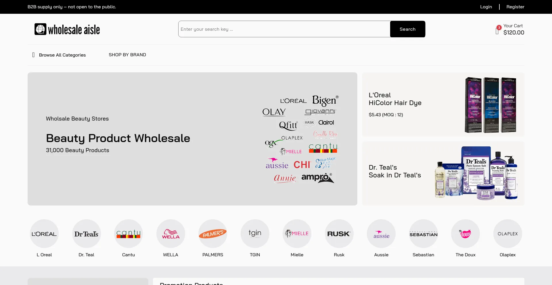 Website screenshot of Wholesaleaisle.com