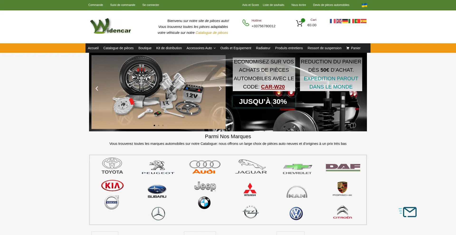 Website screenshot of Widencarpieces.com
